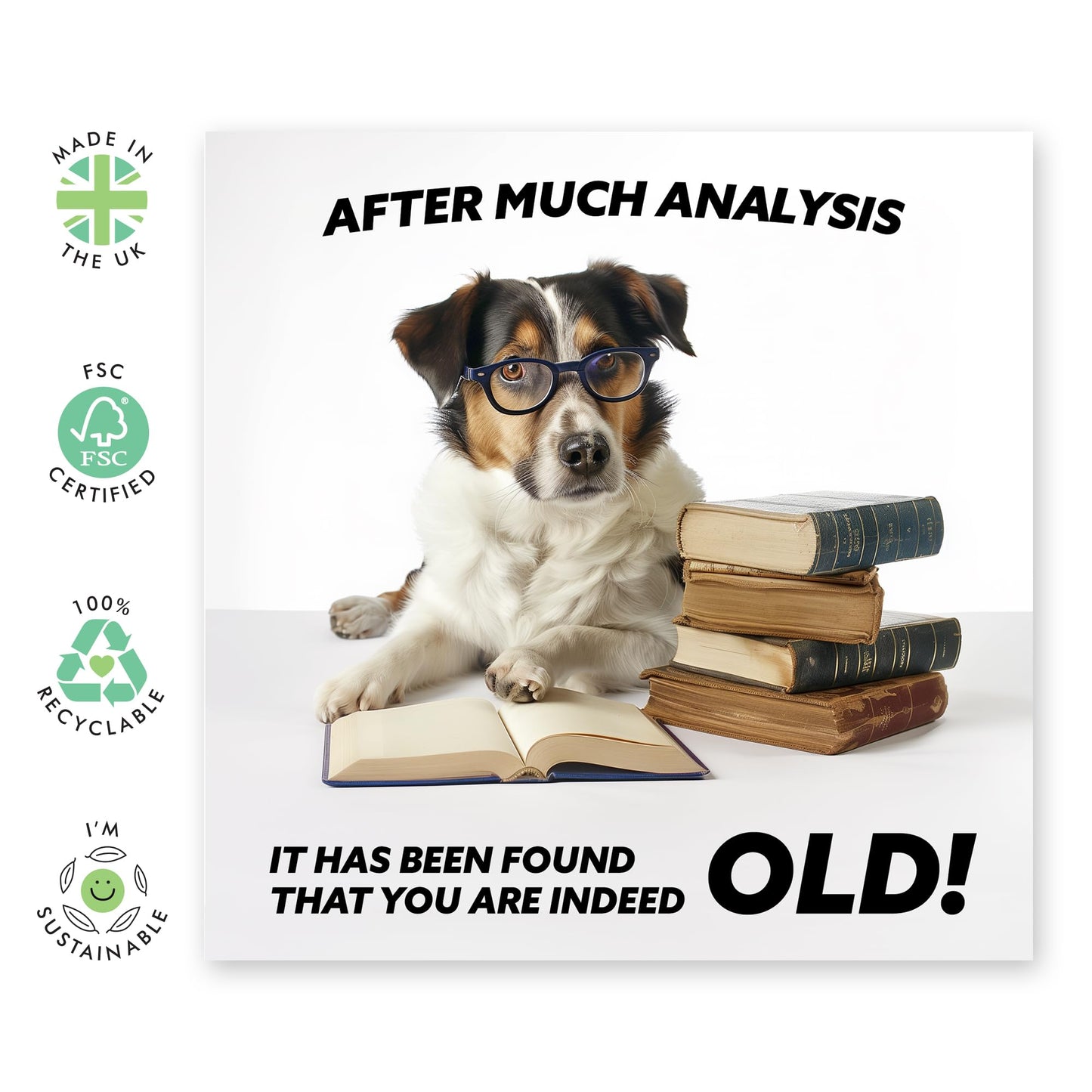 Funny Greeting Card - 'YOU ARE INDEED OLD DOG' - Perfect for Celebrating Milestones with Humor - Ideal for Dog Lovers and Friends - Adds a Fun Twist to Any Occasion - Comes With Stickers By Central 23