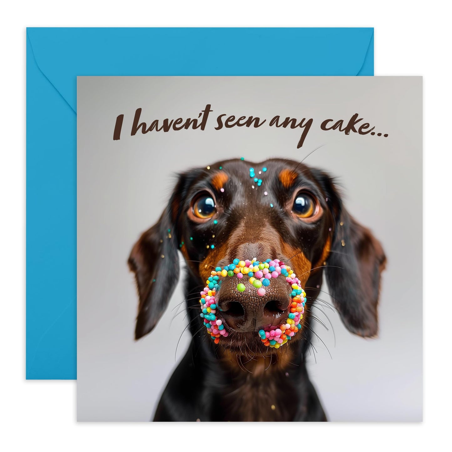 Dog Birthday Card - I Haven't Seen Any Cake - Humorous Birthday Cards For Women And Men - Gifts For Dog Mum And Dad - Cards From Pet - Comes With Stickers - By Central 23