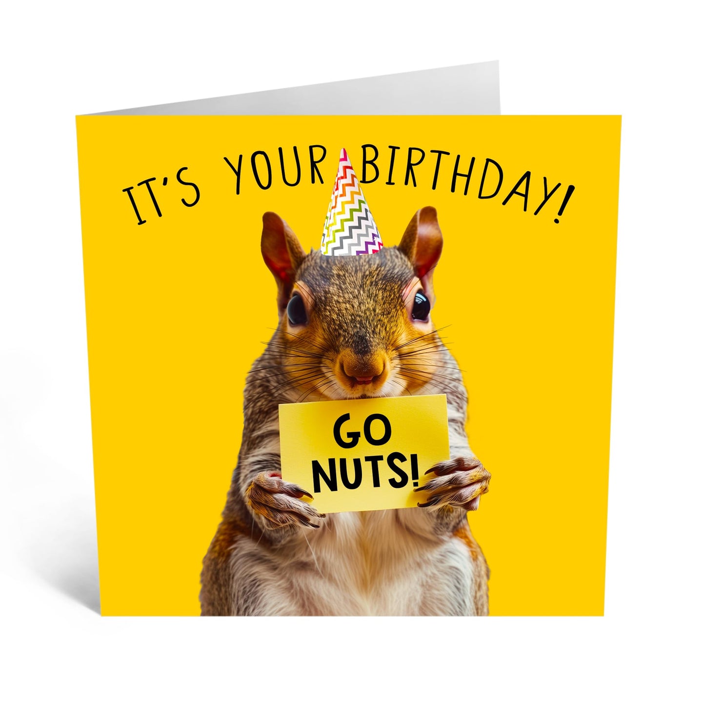 Birthday Greeting Card - 'SQUIRREL GO NUTS BIRTHDAY' - Perfect for Celebrating with a Fun, Nutty Twist - Ideal for Adding a Touch of Humor and Joy to Any Birthday - Comes With Stickers By Central 23