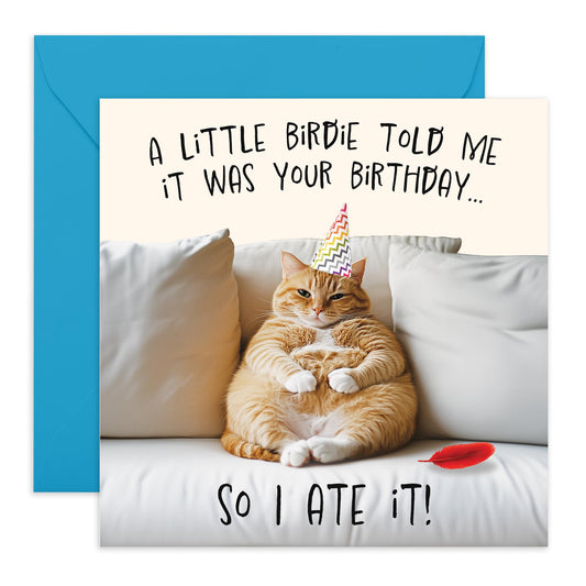 Hilarious Birthday Card for Him or Her - 'Little Birdie Birthday Cat' - Gifts for Friends, Women, Men, Dad, Brother, Boyfriend, Colleagues - Cat is Full - Comes with Fun Stickers