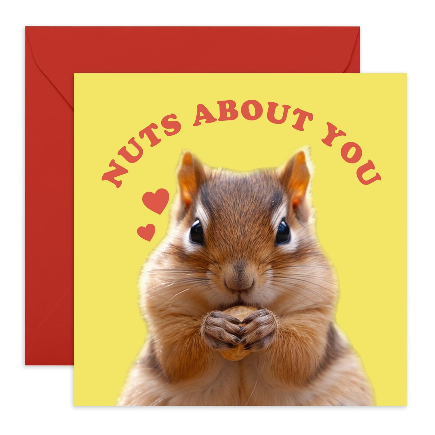 Anniversary Greeting Card - 'Nuts About You' - Romantic Gift for Wife, Husband, Girlfriend, Boyfriend, Married Couple - Cuteness Overload - Comes with Fun Stickers