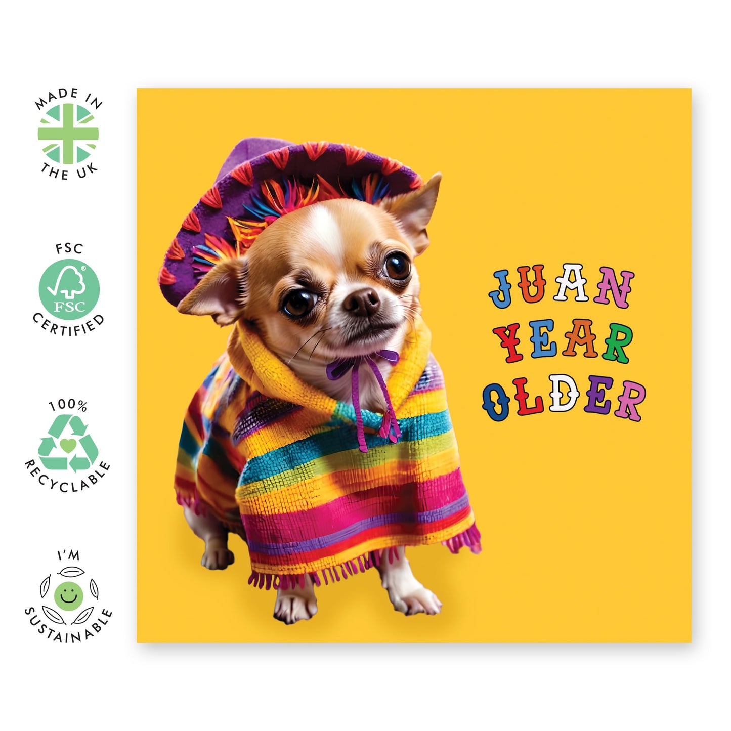 Birthday Greeting Card - 'JUAN YEAR OLDER DOG' - Perfect for Celebrating with a Fun Twist - Ideal for Dog Lovers and Adding a Touch of Humor and Joy to Any Birthday - Comes With Stickers By Central 23