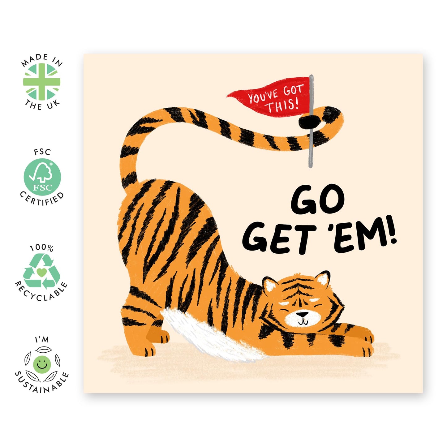 Good Luck Cards - Go Get Em' Tiger - You Can Do It Greeting Cards And Envelopes - Goodluck On Your New Job, Exam, Driving Test, Competition - Gifts For Son Daughter - Comes With Stickers By Central 23