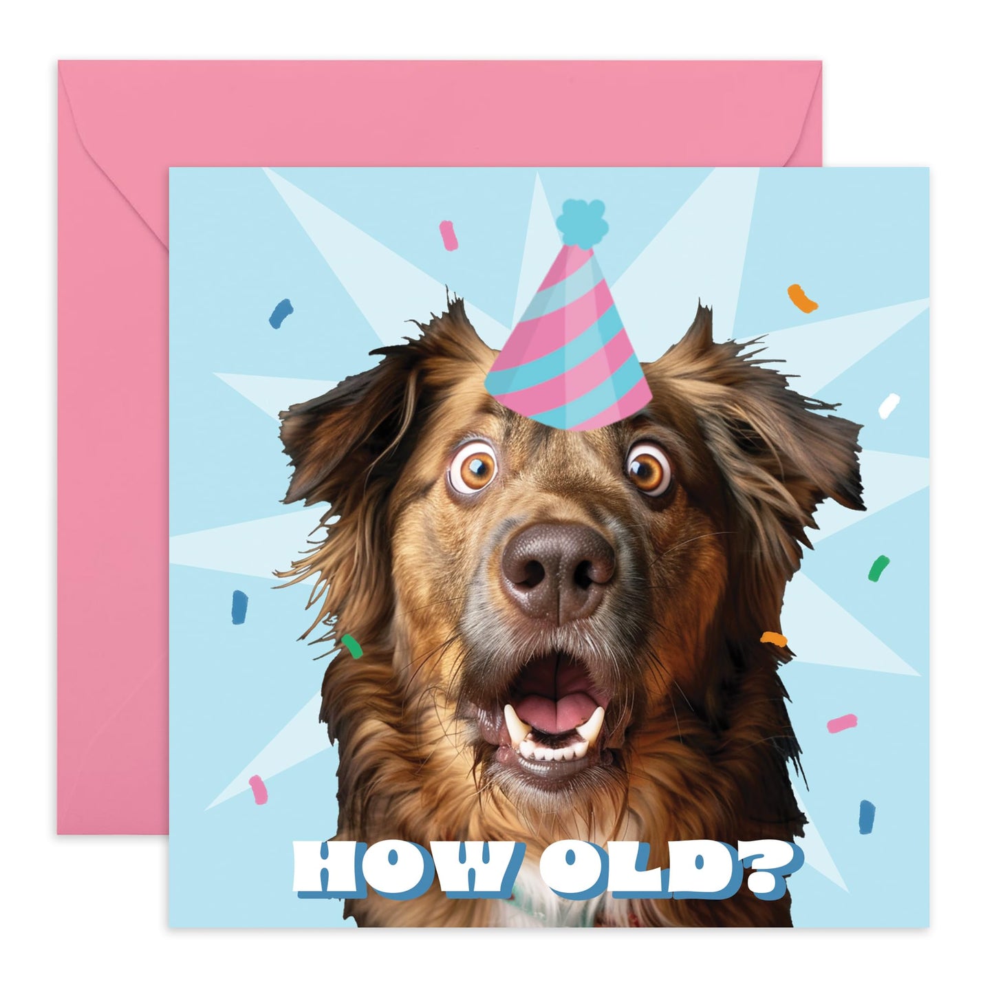 HOW OLD DOG
