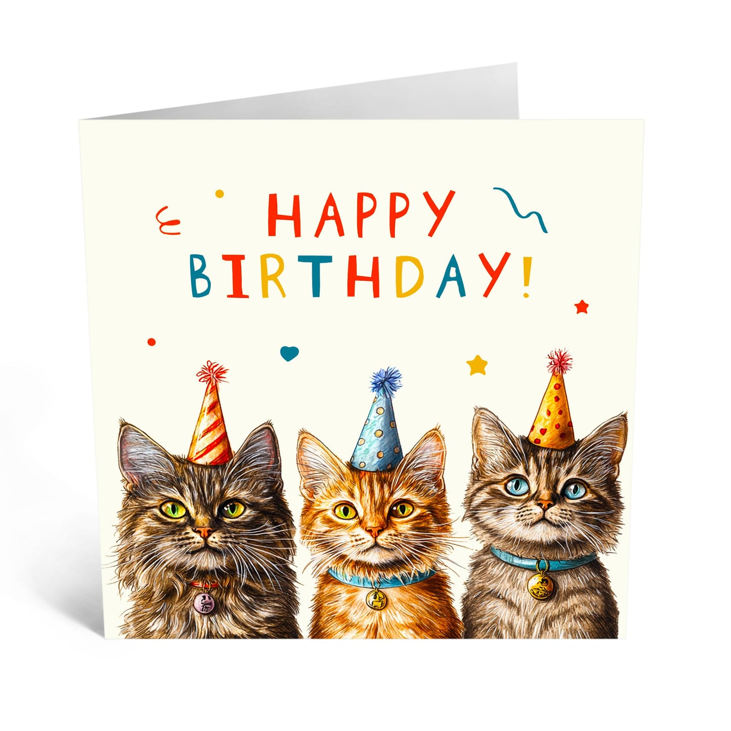 Birthday Card - 'BIRTHDAY CATS' - Perfect for Celebrating Cat Lovers on Their Special Day - Ideal for Friends Family or Anyone Who Admires Feline Fun & Festivities - Comes With Stickers By Central 23