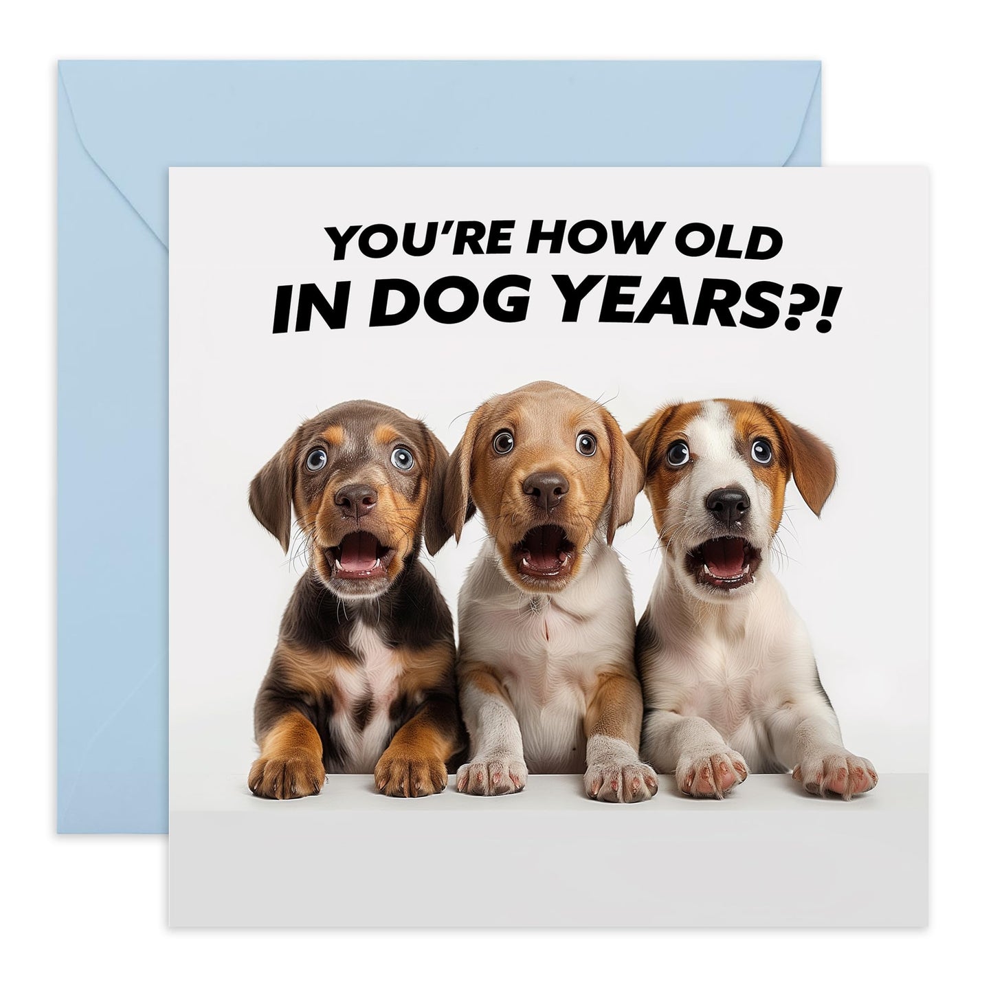 Funny Birthday Card About Age - 'How Old In Dog Years' - Gifts for Men, Women, Him, Her, Friends, Colleagues - Shocking - Comes with Fun Stickers