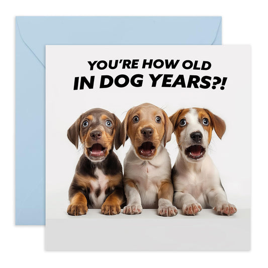 Funny Birthday Card About Age - 'How Old In Dog Years' - Gifts for Men, Women, Him, Her, Friends, Colleagues - Shocking - Comes with Fun Stickers