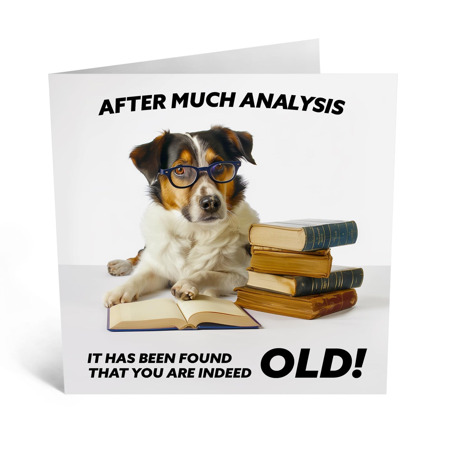 Funny Greeting Card - 'YOU ARE INDEED OLD DOG' - Perfect for Celebrating Milestones with Humor - Ideal for Dog Lovers and Friends - Adds a Fun Twist to Any Occasion - Comes With Stickers By Central 23
