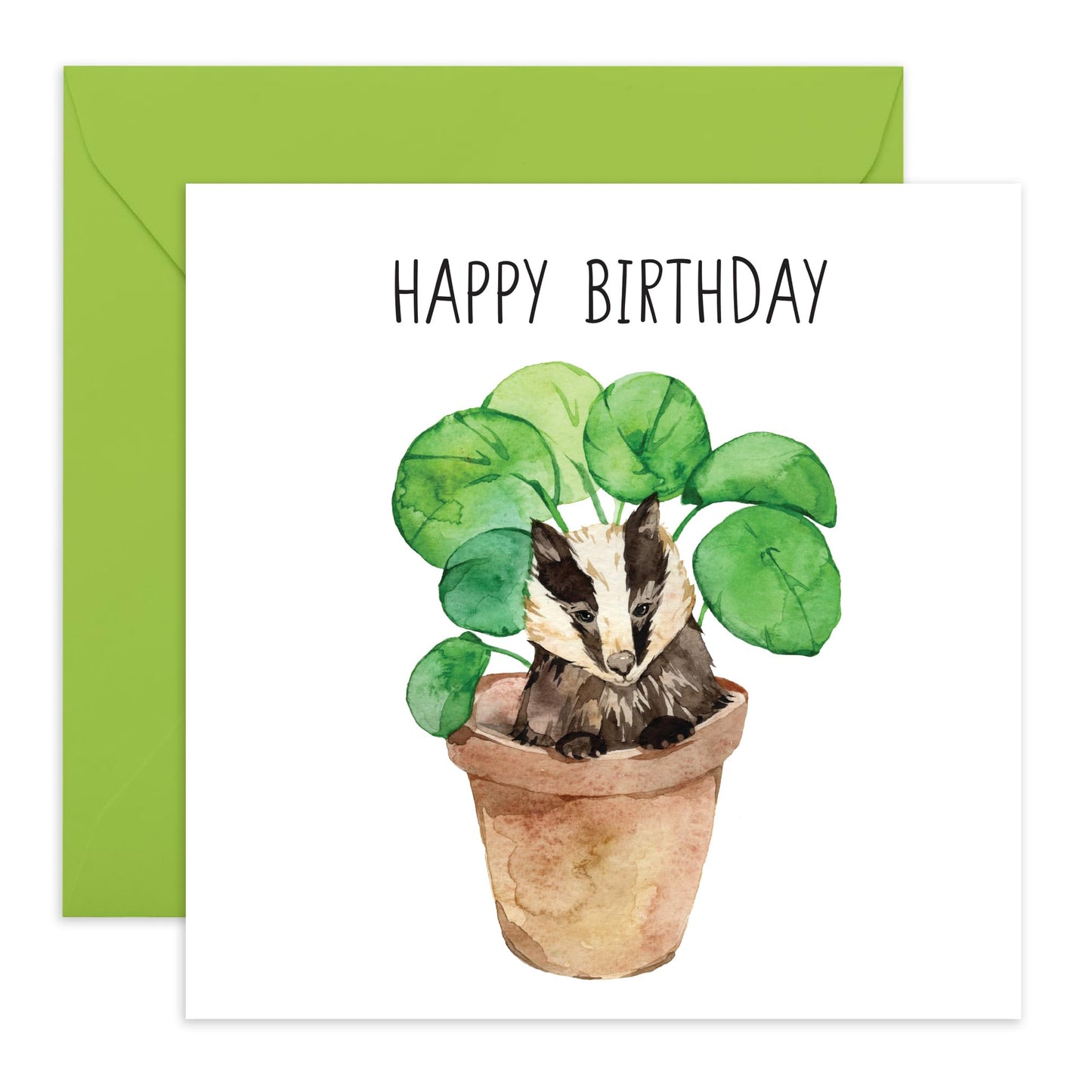 Delightful Birthday Card for Him - 'Badger Plant Pot' - Gifts for Men, Boys, Brother, Coworker - Adorable Animal - Comes with Fun Stickers