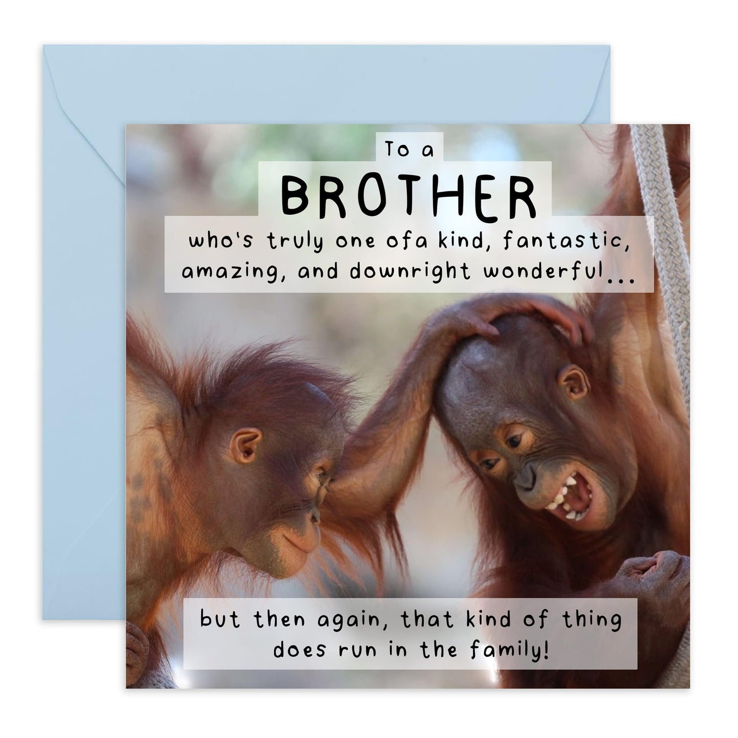Chimpanzee Brother Birthday Card - 'One Of A Kind Brother' - Gifts for Bro, Sibling, Bruv, Family, Him, In-law, Step Bro - Wonderful Amazing Fantastic - Comes with Fun Stickers