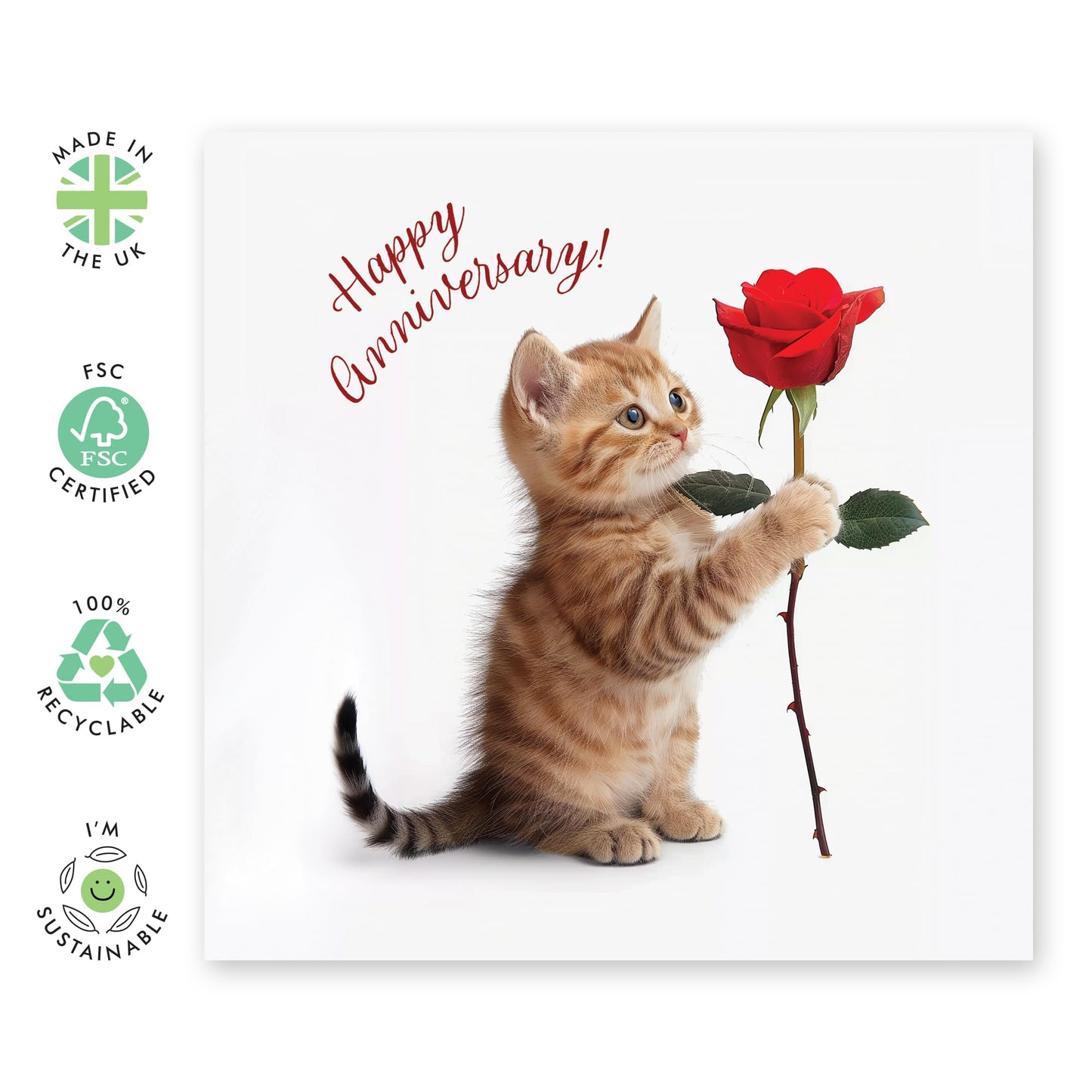 Greeting Card - 'ANNIVERSARY CAT' - Perfect for Celebrating Your Special Day with Feline Flair - Ideal for Adding a Touch of Cuteness and Fun to Your Anniversary - Comes With Stickers By Central 23