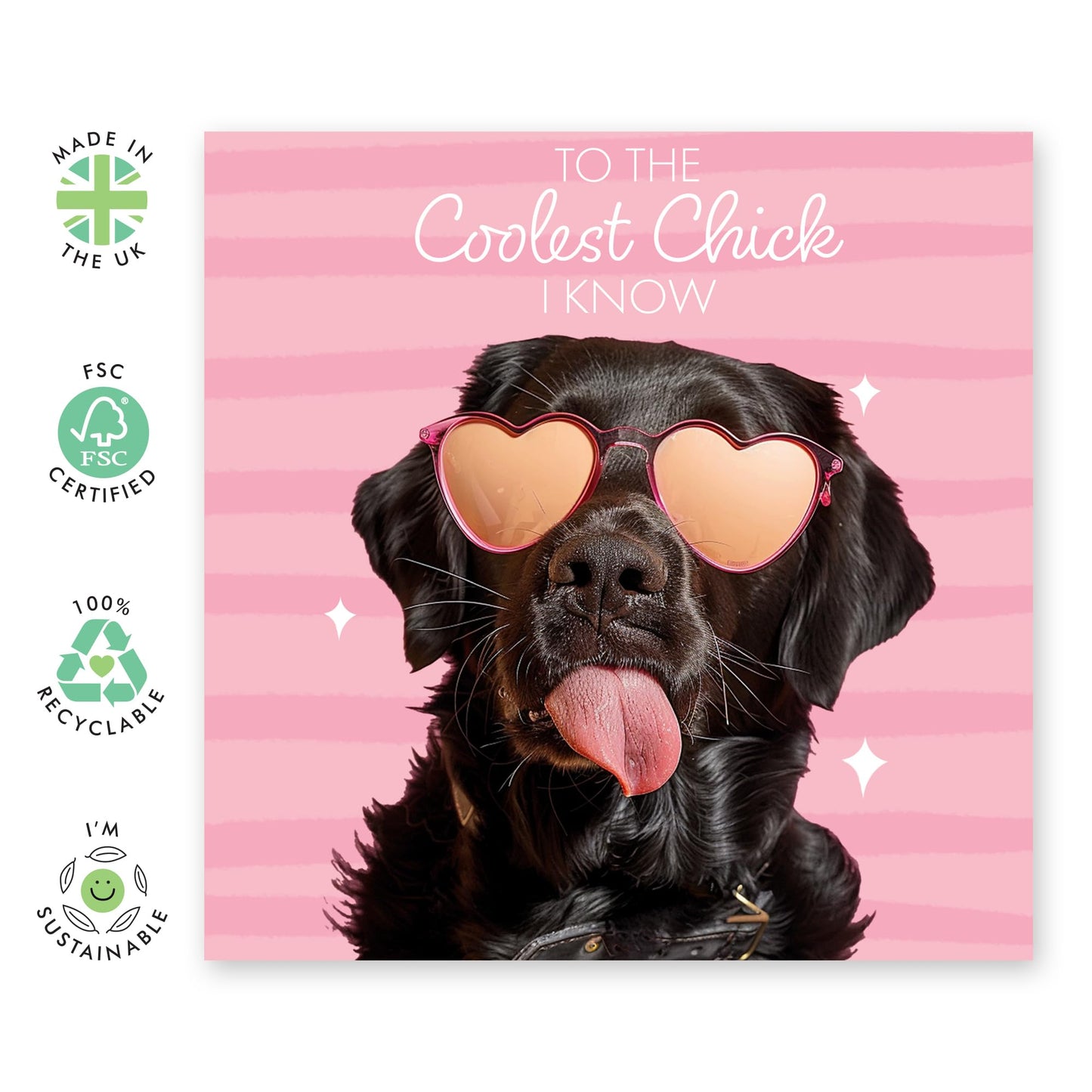 Cute Greeting Card - 'Coolest Chick' - Gifts for Girlfriends, BFFs, Besties, Best friends, Coworker- Fabulously Cute Dog - Comes with Fun Stickers