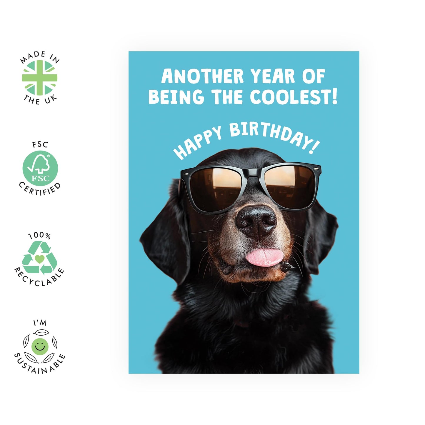 Cool Birthday Card - 'Another Year of Being The Coolest' - Presents for Friends, Co-workers, Colleagues, Family, Boyfriend, Husband, Dog Lovers - Shades- Comes with Fun Stickers