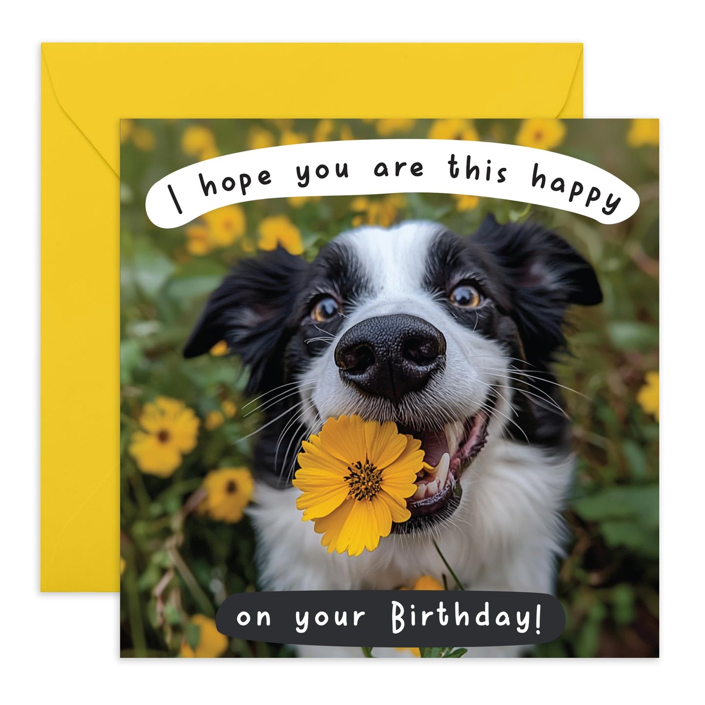 Cheerful Birthday Card - 'HOPE YOU'RE THIS HAPPY - DOG!' - Perfect for Celebrating with Joy and Playfulness - Ideal for Dog Lovers Friends Family Dads MUMs Besties - Comes With Stickers By Central 23