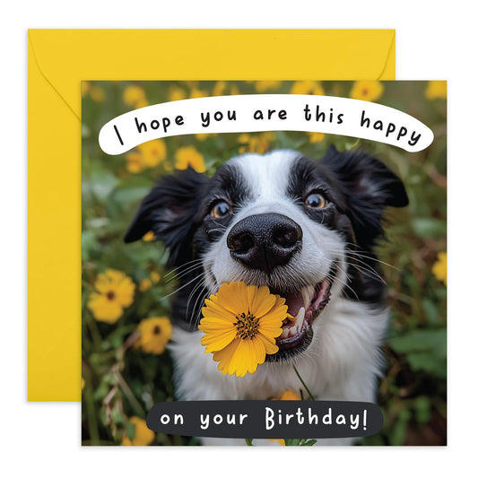 Cheerful Birthday Card - 'HOPE YOU'RE THIS HAPPY - DOG!' - Perfect for Celebrating with Joy and Playfulness - Ideal for Dog Lovers Friends Family Dads MUMs Besties - Comes With Stickers By Central 23