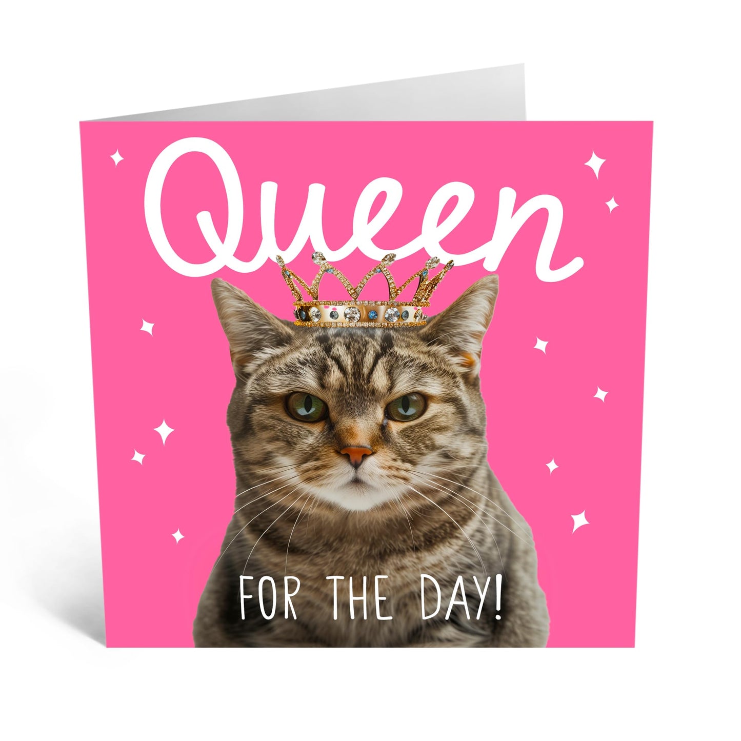 Birthday Greeting Card - 'CAT QUEEN FOR THE DAY' - Perfect for Celebrating with Royal Cat Charm - Ideal for Cat Lovers and Adding a Regal Touch to Their Special Day - Comes With Stickers By Central 23