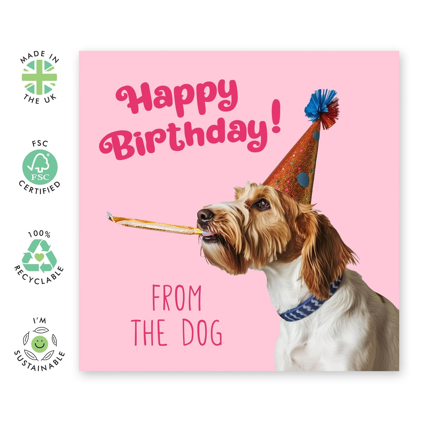 Birthday Greeting Card - 'BIRTHDAY FROM THE DOG' - Perfect for Dog Owners Who Want to Add a Paw-sitive Touch to Their Celebration - Ideal for Bringing a Charm - Comes With Stickers By Central 23
