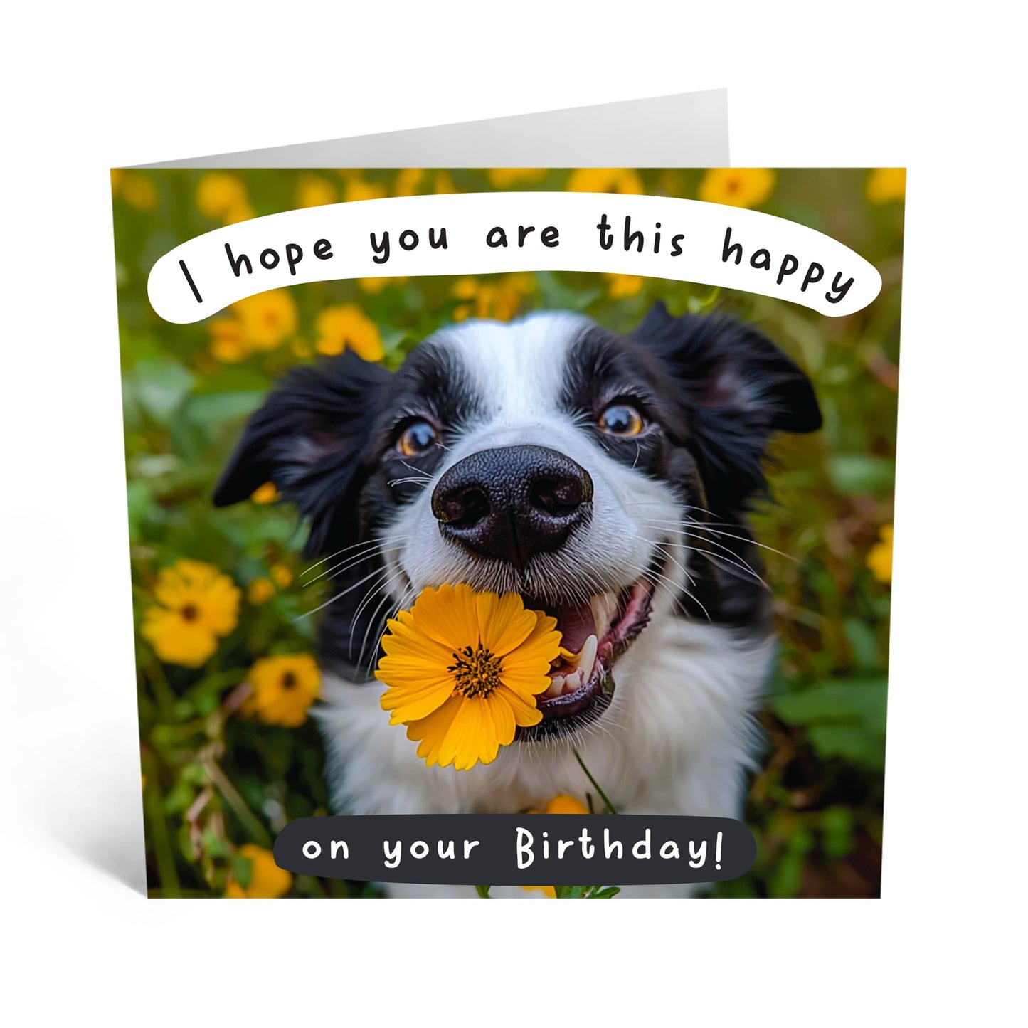 Cheerful Birthday Card - 'HOPE YOU'RE THIS HAPPY - DOG!' - Perfect for Celebrating with Joy and Playfulness - Ideal for Dog Lovers Friends Family Dads MUMs Besties - Comes With Stickers By Central 23