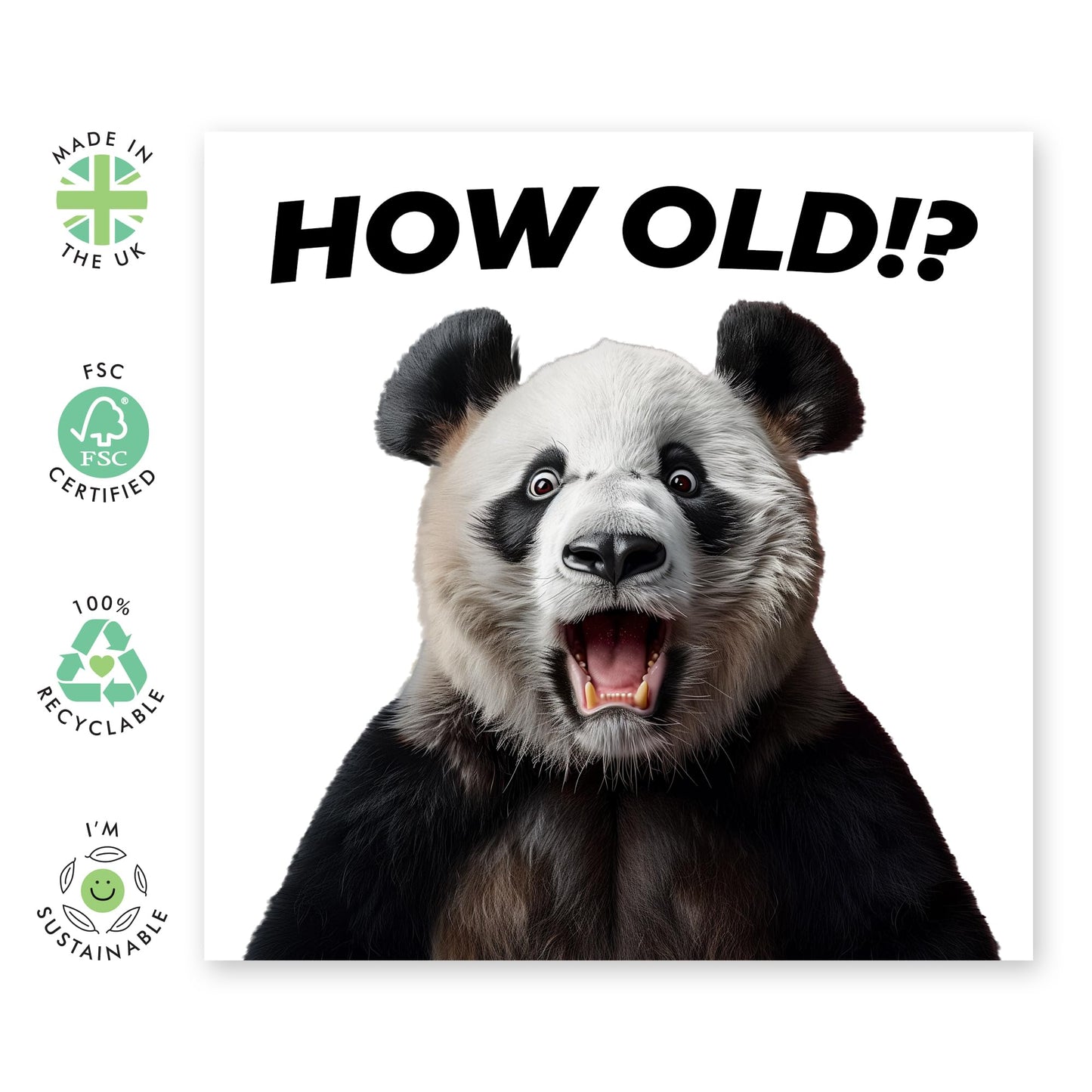 Birthday Greeting Card - 'HOW OLD?! PANDA' - Perfect for Celebrating Birthdays with a Cute Twist - Ideal for Panda Lovers and Adding Fun to Any Age Milestone - Comes With Stickers By Central 23