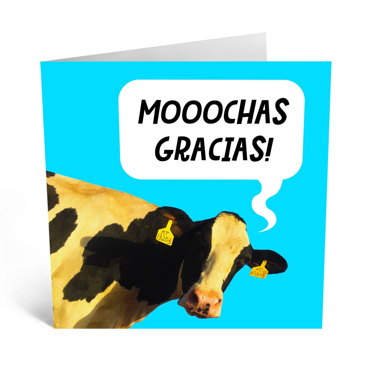 Greeting Card - 'MOOCHAS GRACIAS COW' - Perfect for Saying Thank You with a Fun and Farm-Fresh Twist - Ideal for Adding a Lighthearted Touch to Your Appreciation - Comes With Stickers By Central 23