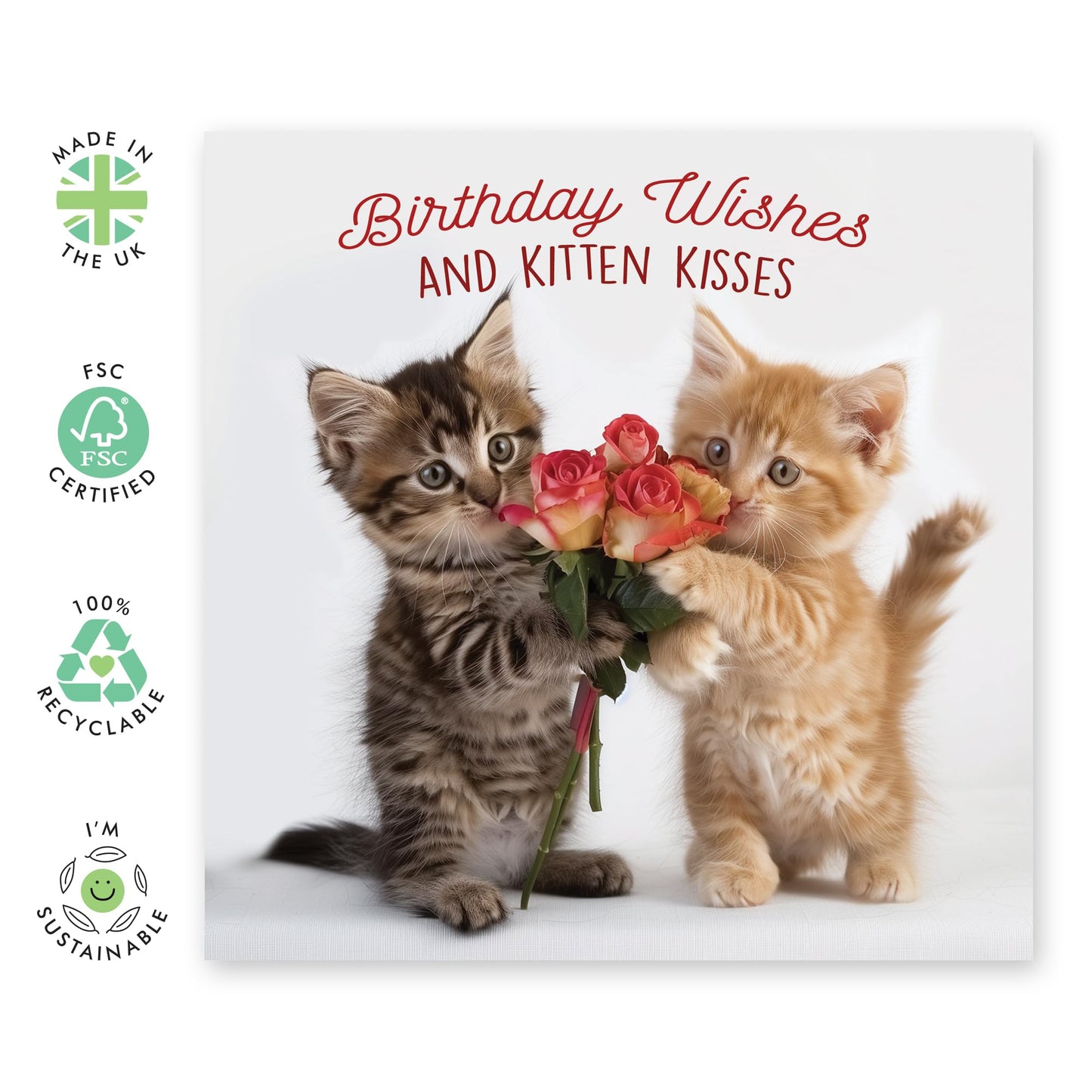 Greeting Card - 'BIRTHDAY WISHES KITTEN KISSES' - Perfect for Adding Adorable Feline Charm to Birthday Celebrations - Ideal for Sweet & Cuddly Wishes to Loved Ones - Comes With Stickers By Central 23