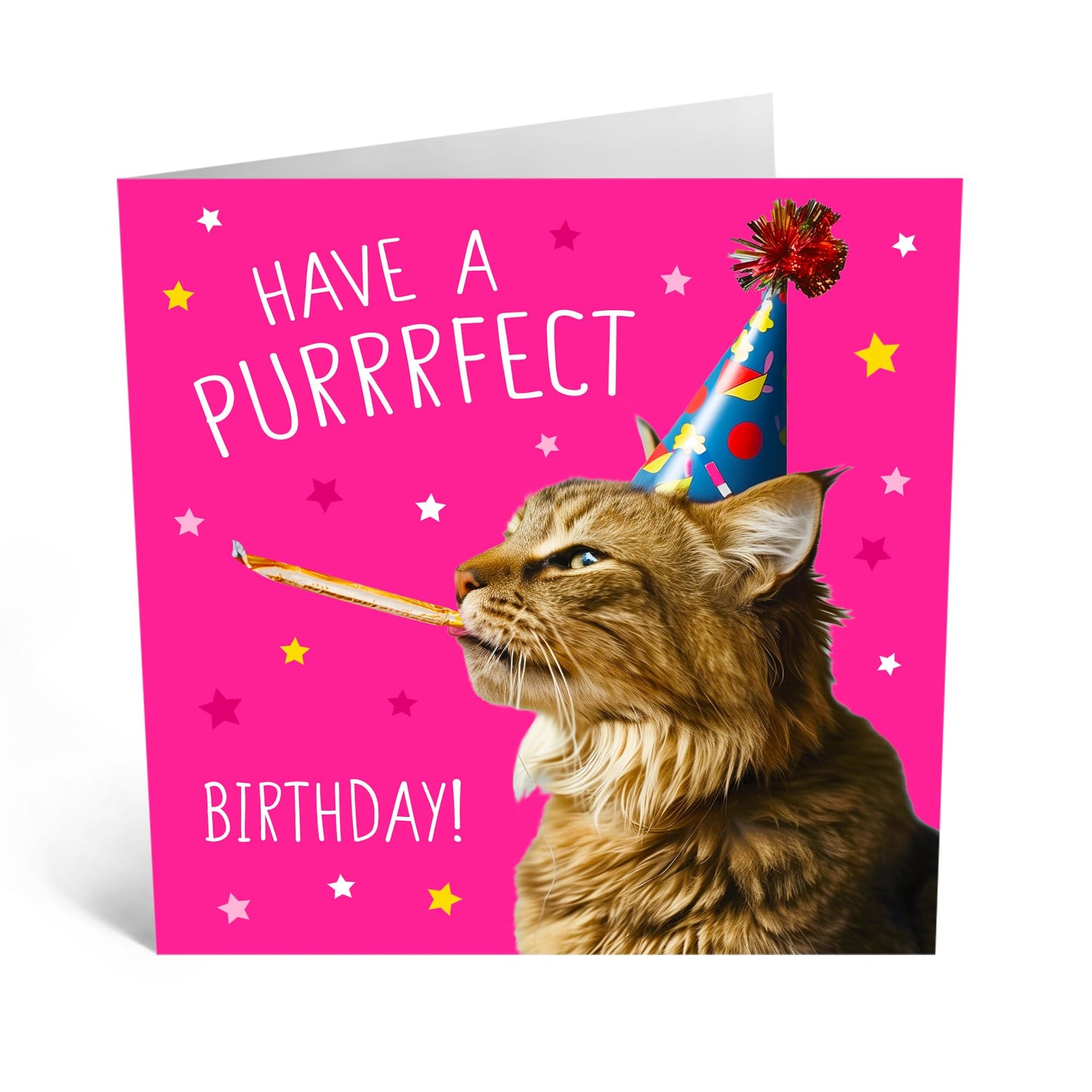 Birthday Greeting Card - 'PURRRFECT BIRTHDAY CAT' - Ideal for Cat Lovers Celebrating with Charm - Perfect for Adding a Purr-fectly Fun Touch to Their Special Day - Comes With Stickers By Central 23