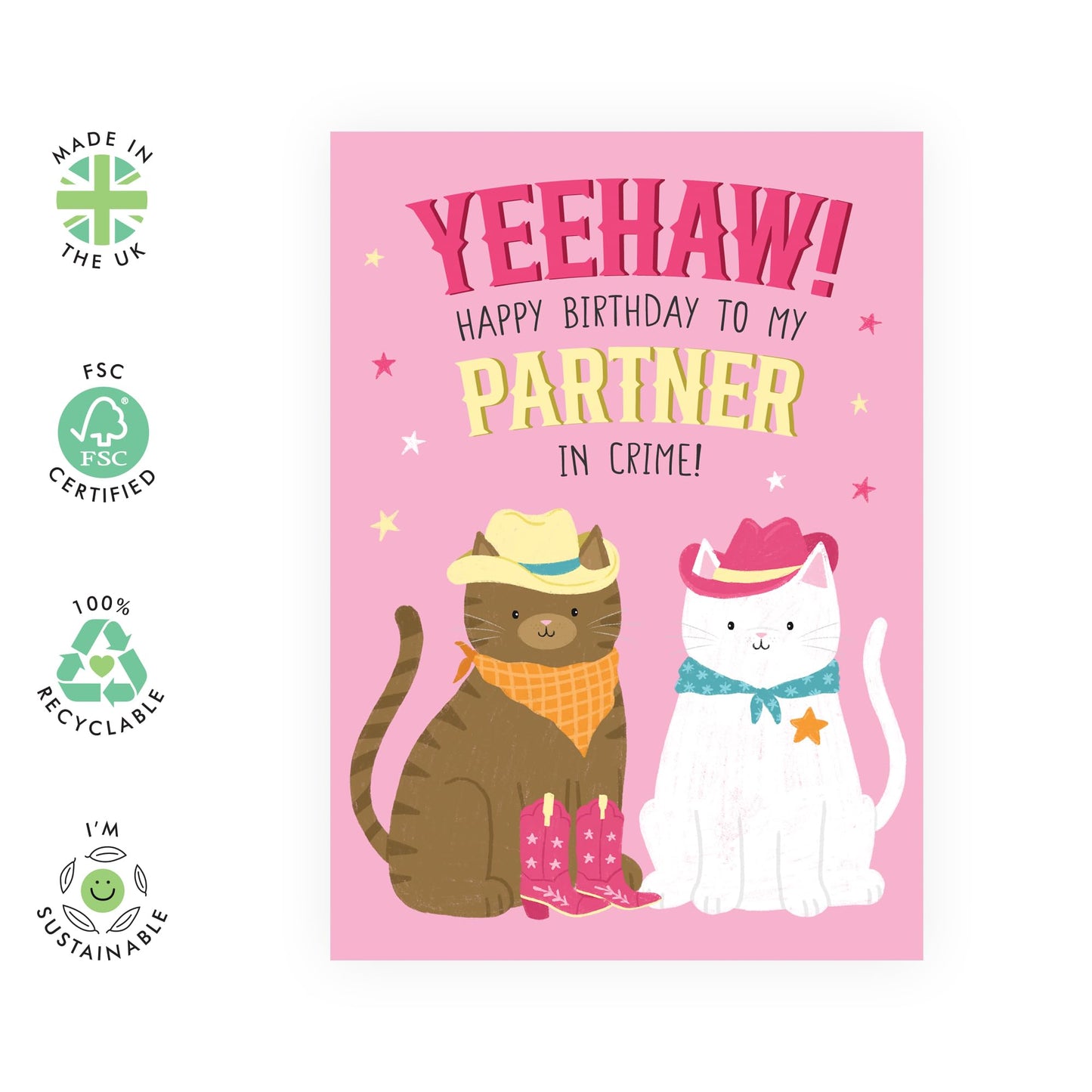 Birthday Card Cute Cat Couples - 'Cowboy Cats Partner In Crime' - Gifts for Wife, Girlfriend, Her, Partner, Love, Darling, Babe, Sweetheart - Boots and Hat - Comes with Fun Stickers