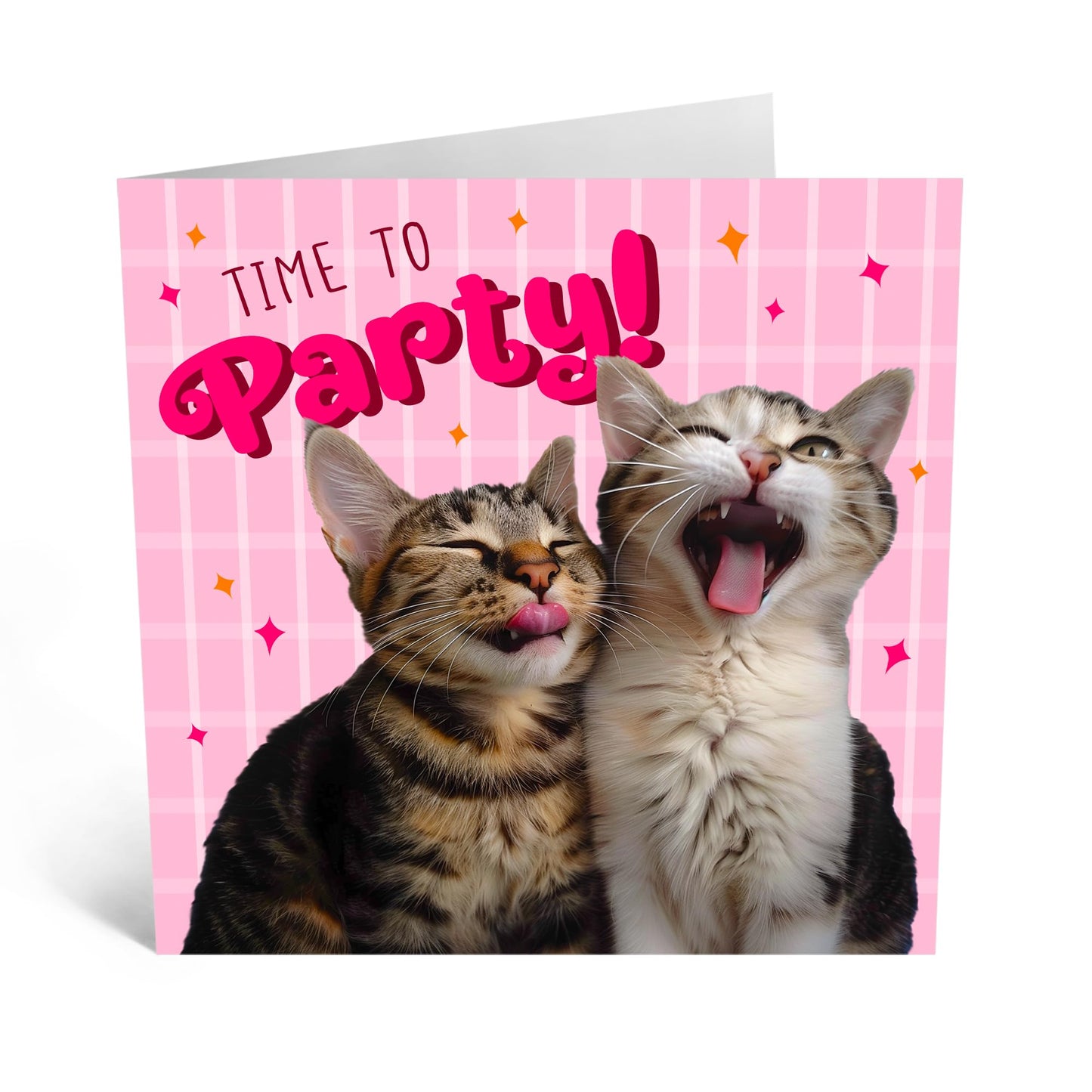 Birthday Greeting Card - 'TIME TO PARTY CATS' - Perfect for Celebrating with Fun and Feline Flair - Ideal for Cat Lovers Ready to Enjoy a Purr-fectly Good Time - Comes With Stickers By Central 23