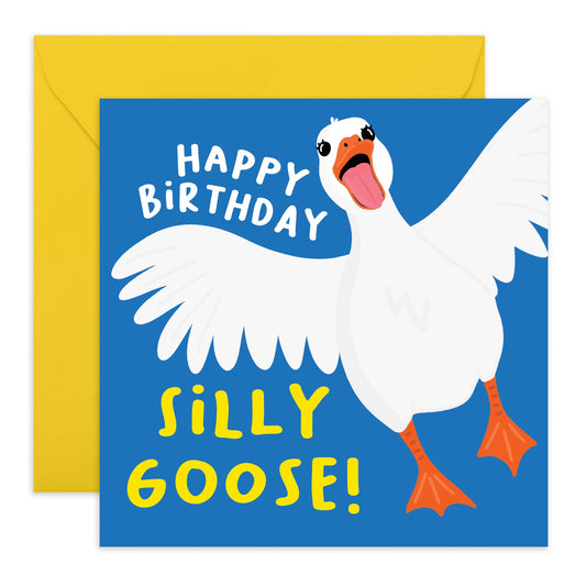 Birthday Card For Men Women - Hbd Silly Goose - Boyfriend Girlfriend Birthday Greeting Cards - Celebration Card For Friend - Comes With Fun Stickers By Central 23