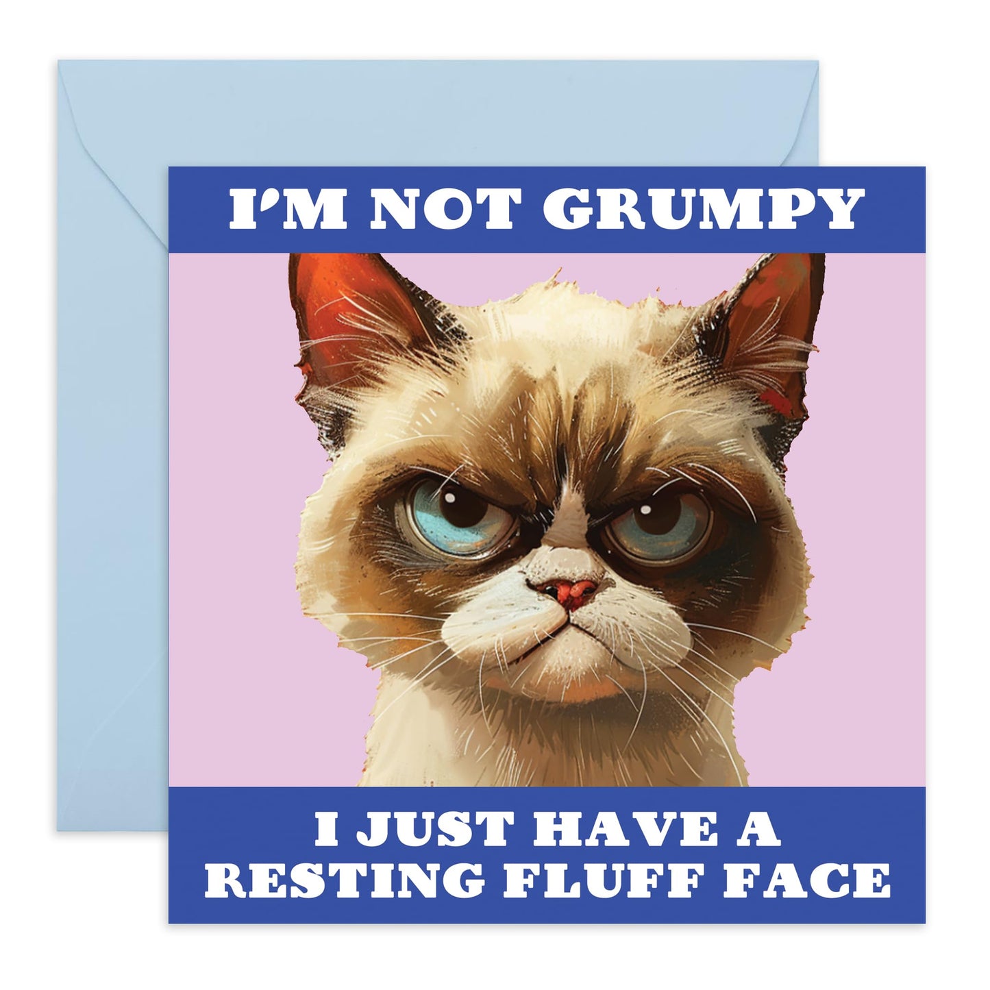 Funny Greeting Cards For Women - Resting Fluff Face - Girlfriend Birthday Card - Sassy Birthday Cards For Daughter Mum Friends - Gifts For Her Wife Dad Husband - Comes With Stickers By Central