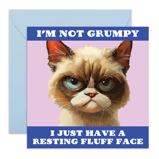 Funny Greeting Cards For Women - Resting Fluff Face - Girlfriend Birthday Card - Sassy Birthday Cards For Daughter Mum Friends - Gifts For Her Wife Dad Husband - Comes With Stickers By Central