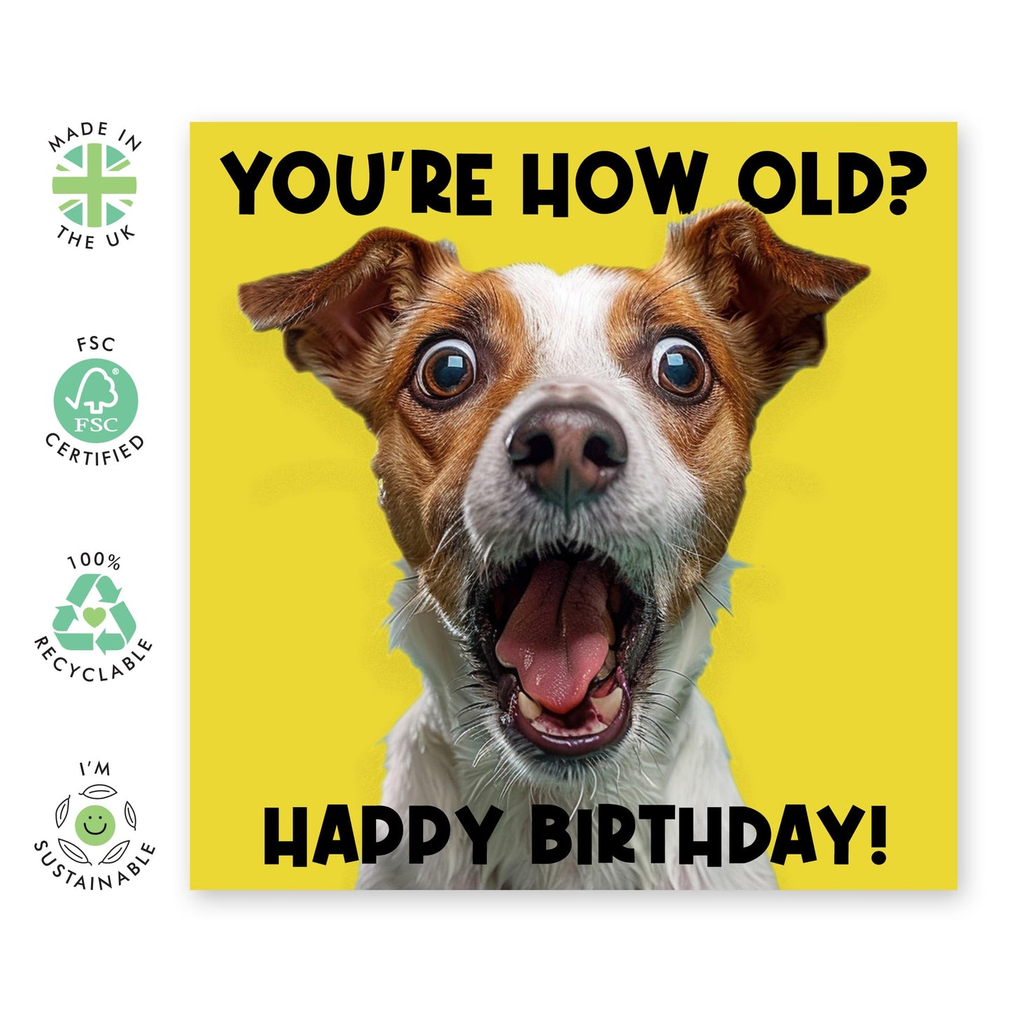 Shocked Dog Birthday Card - 'You're How Old' - Greetings for Him, Her, BFFs, Mum, Dad, Friends - Cute Dog Asking - Comes with Fun Stickers