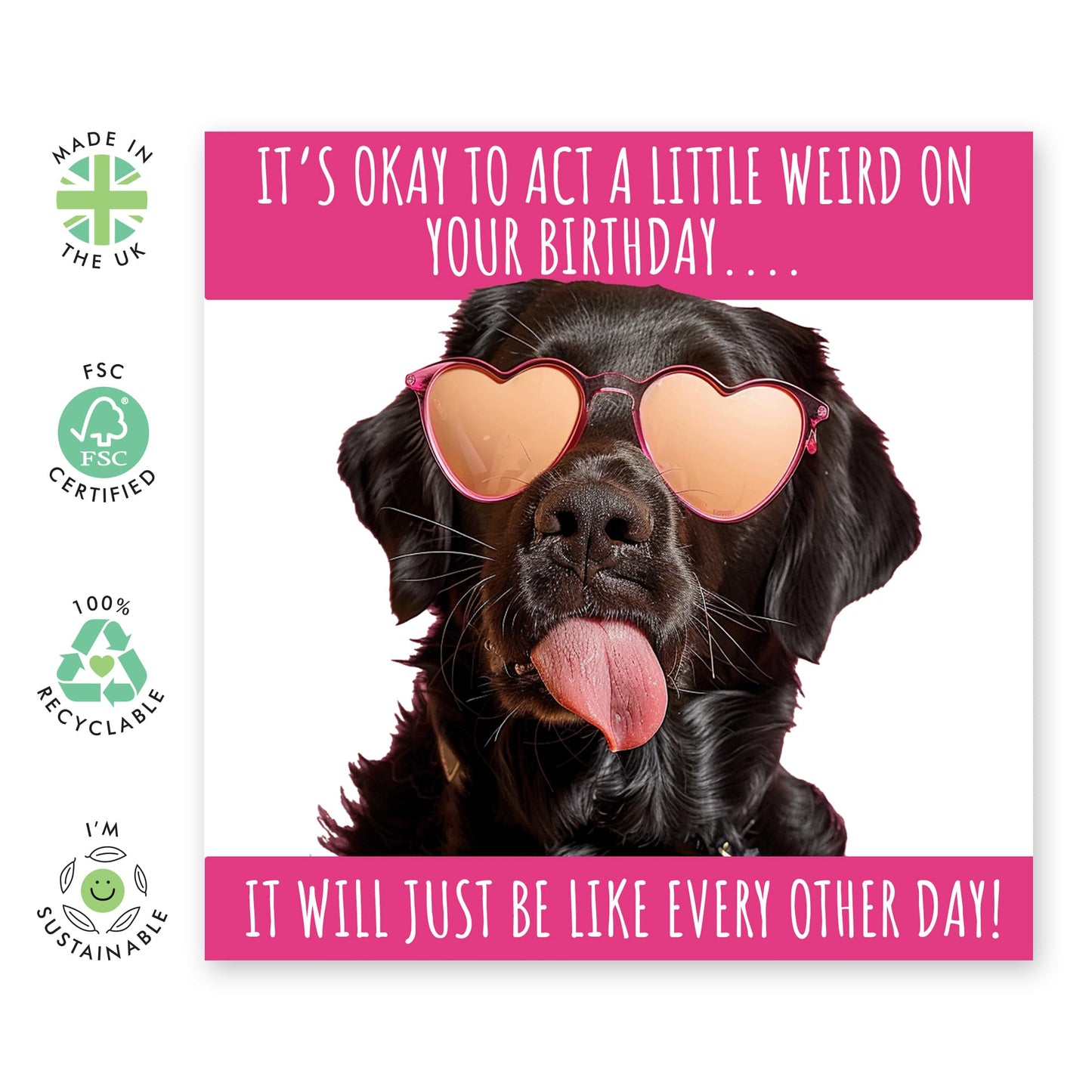 Cute & Funny Birthday Card - 'Little Weird' - Gifts for Girlfriends, BFFs, Besties, Bestfriends, Coworker- Fabulously Cute Dog - Comes with Fun Stickers