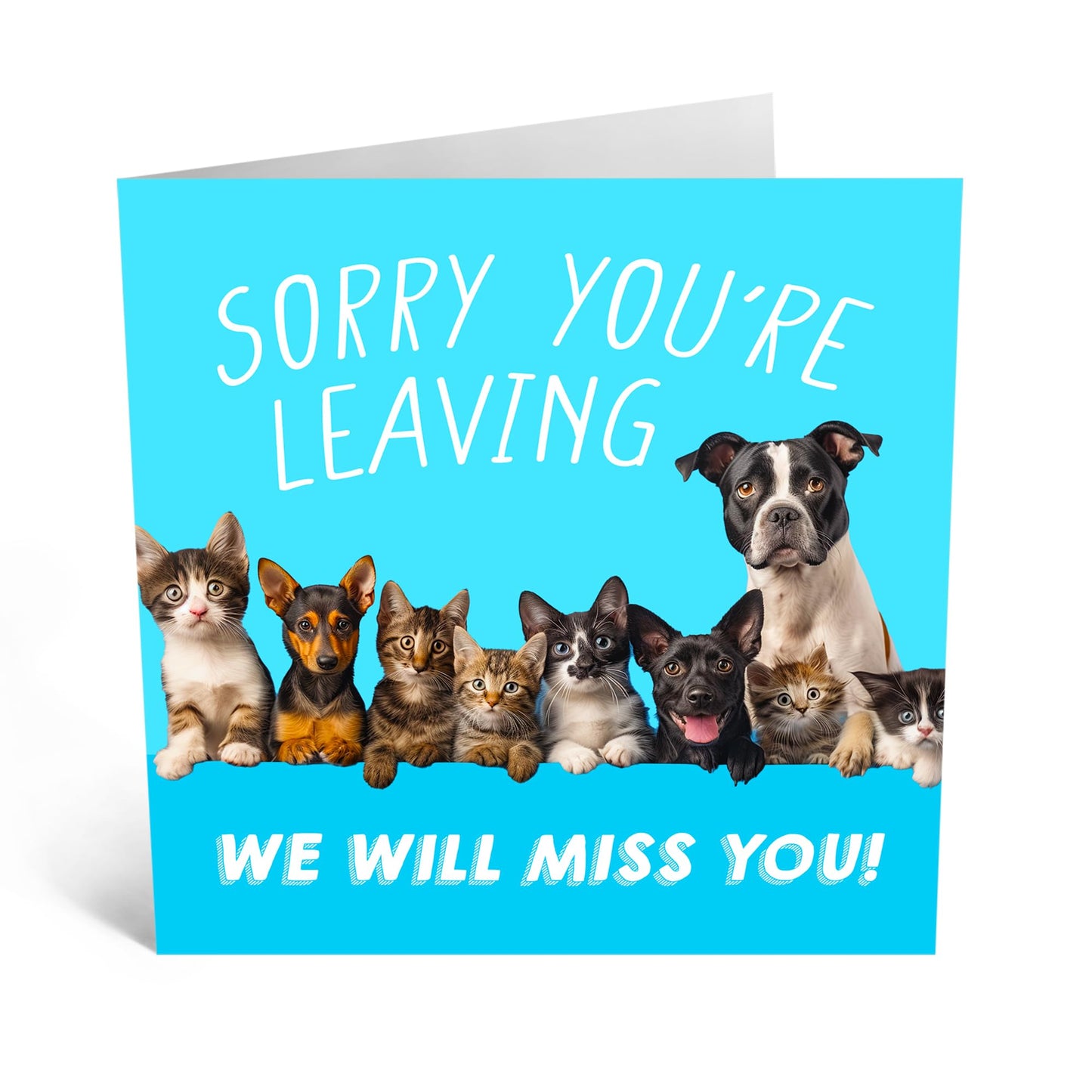 Farewell Card - 'SORRY YOU'RE LEAVING DOGS' - Ideal for Saying Goodbye with a Touch of Canine Charm - Perfect for Dog Lovers and Making Farewells a Bit Brighter - Comes With Stickers By Central 23