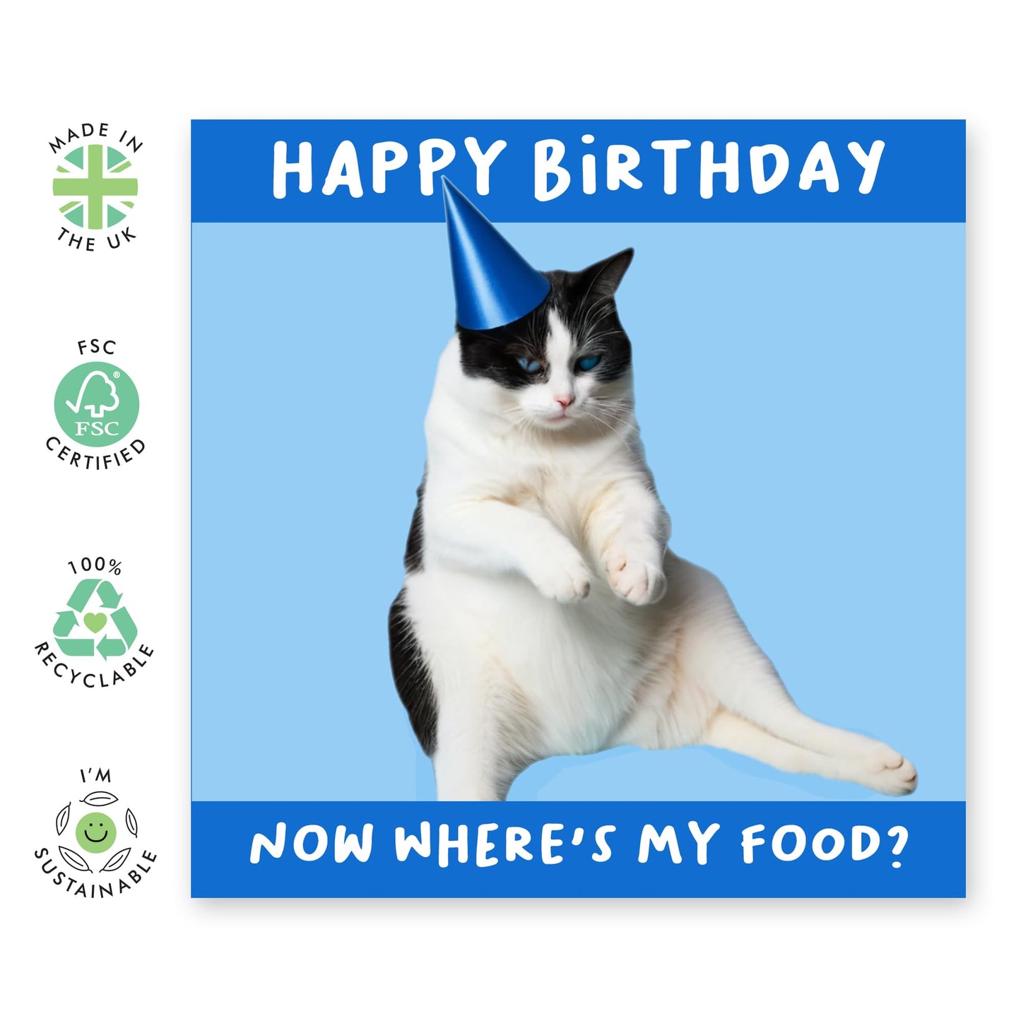 Hilarious Cat Birthday Card - 'Now Wheres My Food' - Jokes for BFFs, Best Friends, Buddies, Mates, Bruv, Bro, Sis, Family, Colleagues, Coworkers - Fat Cat - Comes with Fun Stickers