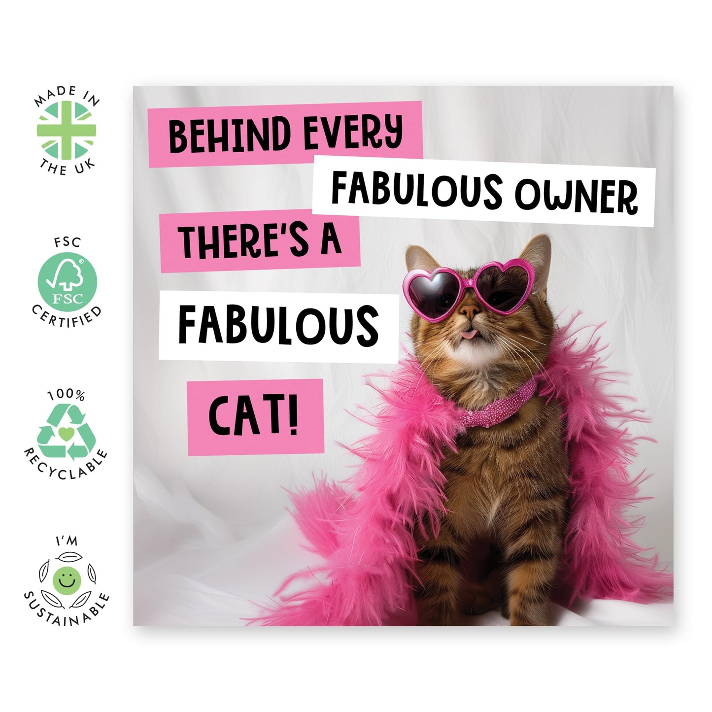 Greeting Card - 'FABULOUS OWNER, FABULOUS CAT' - Perfect for Any Occasion with a Fun, Feline-Themed Twist and Playful Design - Ideal for Celebrating Cat Lovers - Comes With Stickers By Central 23