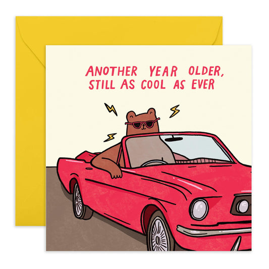 Funny Birthday Card - 'ANOTHER YEAR OLDER!' - Perfect for Celebrating Milestones with a Humorous Twist - Ideal for Friends Family Besties BFFs Brotherhood Sisters - Comes With Stickers By Central 23