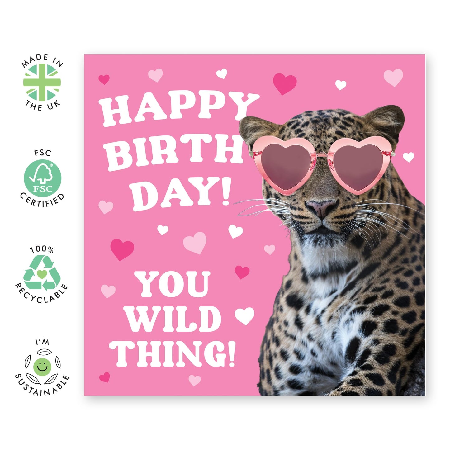 Daughter Birthday Cards - You Wild Thing - Funny Birthday Cards For Women - Sister Birthday Cards - For Mum Auntie Nan - Friend Card - Comes With Stickers - By Central 23