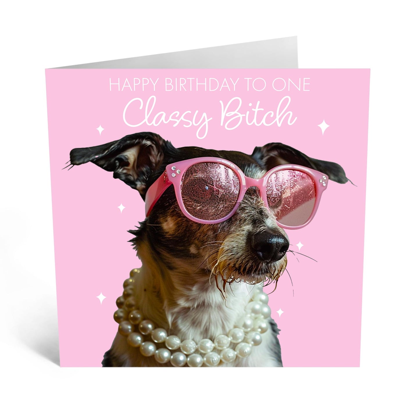 Cute Birthday Card - 'Classy Dog' - Gifts for Girlfriends, BFFs, Besties, Best friends, Coworker- Fabulously Cute Dog - Comes with Fun Stickers