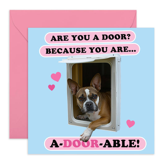 Cute & Romantic Anniversary Card - 'Adoorable' - Sweet Message for Him, Her, Wife, Husband, Boyfriend, Girlfriend, Couples - Dog Pick Up Lines - Comes with Fun Stickers