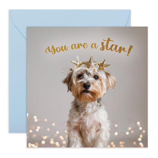Greeting Card - 'YOU ARE A STAR! DOG' - Perfect for Celebrating with a Fun Canine Twist - Ideal for Dog Lovers & Adding Touch of Joy & Appreciation to Any Occasion - Comes With Stickers By Central 23