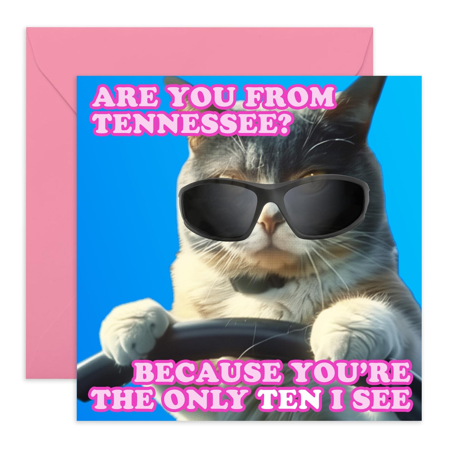 Cute Cat Greeting Card - 'Tennessee' - Hilarious Gifts for Her, Girlfriend, Wife, Friend, BFFs, Besties - You have my 10 - Comes with Fun Stickers