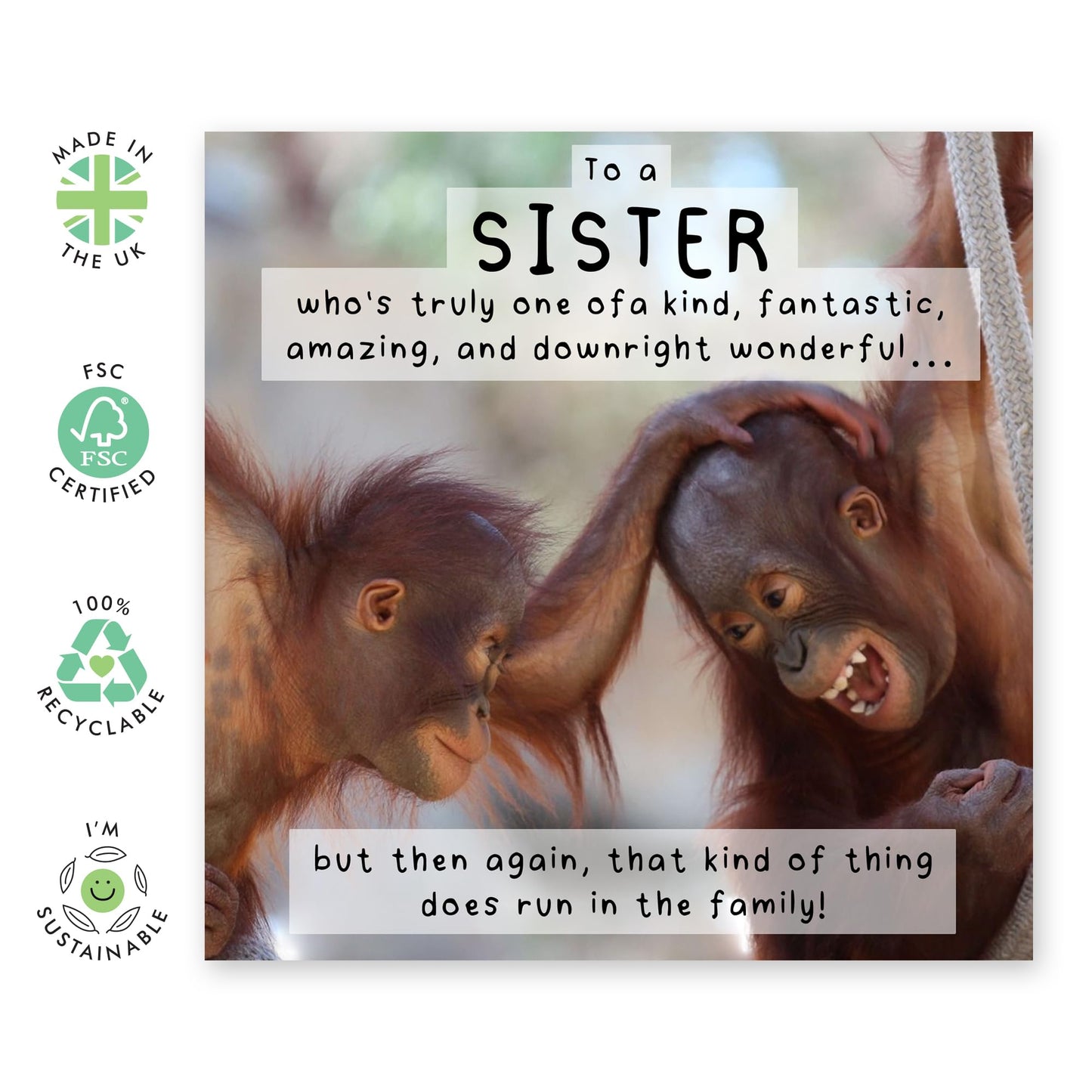 Chimpanzee Sis Birthday Card - 'One Of A Kind Sister - Gifts for Sis, Sibling, Bestie, Family, Him, In-law, Step Sis - Wonderful Amazing Fantastic - Comes with Fun Stickers