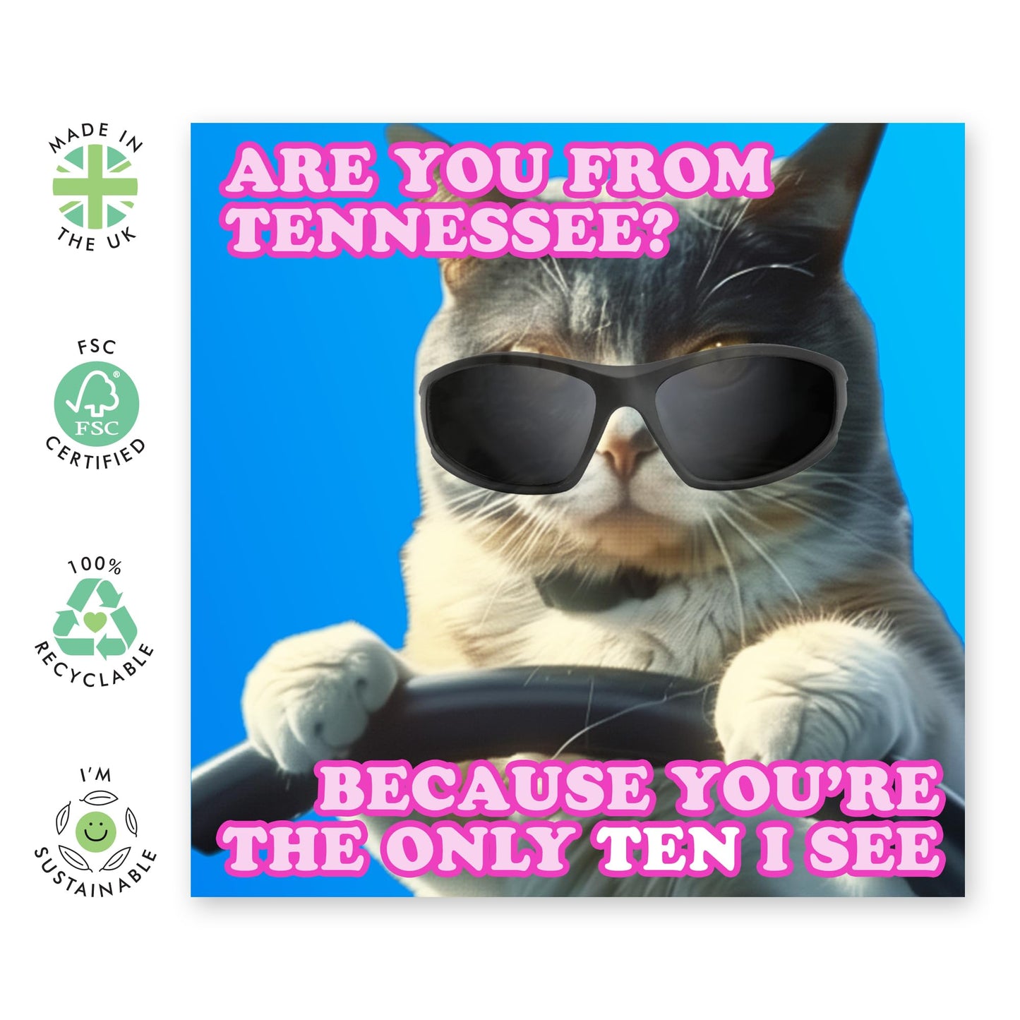 Cute Cat Greeting Card - 'Tennessee' - Hilarious Gifts for Her, Girlfriend, Wife, Friend, BFFs, Besties - You have my 10 - Comes with Fun Stickers