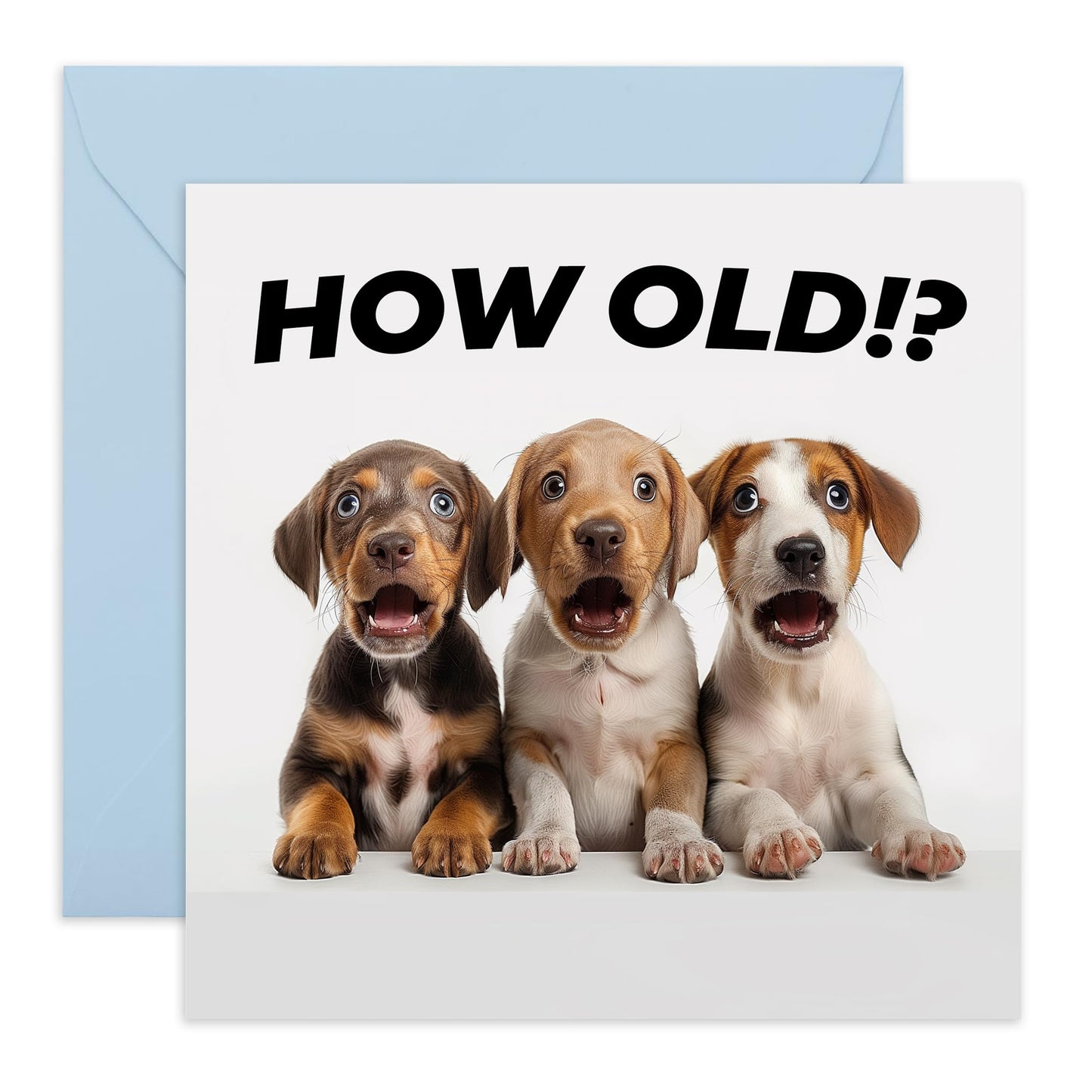 Birthday Greeting Card - 'HOW OLD?! PUPPIES' - Ideal for Celebrating Any Age with Adorable Puppy Charm - Perfect for Dog Lovers And Adding Joyful Fun to Milestones - Comes With Stickers By Central 23