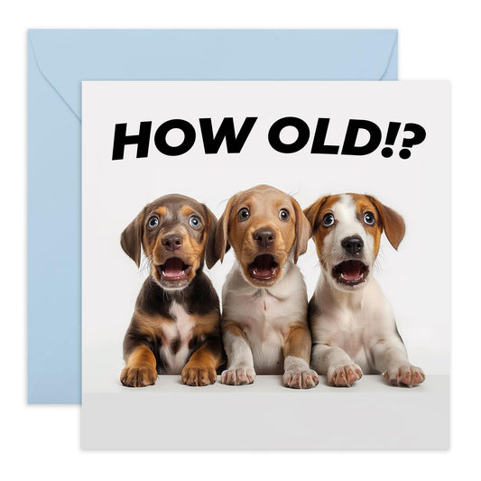 Birthday Greeting Card - 'HOW OLD?! PUPPIES' - Ideal for Celebrating Any Age with Adorable Puppy Charm - Perfect for Dog Lovers And Adding Joyful Fun to Milestones - Comes With Stickers By Central 23