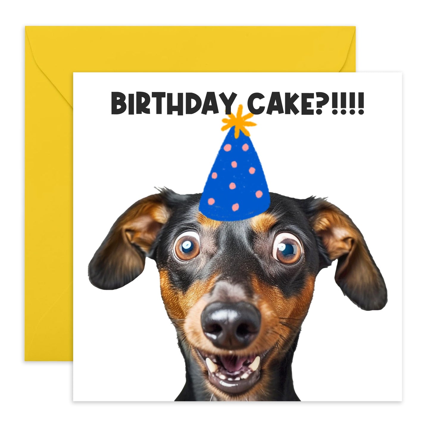 Cute & Hilarious Happy Birthday Card - 'Birthday Cake' - Gift for Friends, Family, Coworkers, Colleagues, Mates, Buddies, BFFs, Dog Lovers - Where is the cake - Comes with Fun Stickers