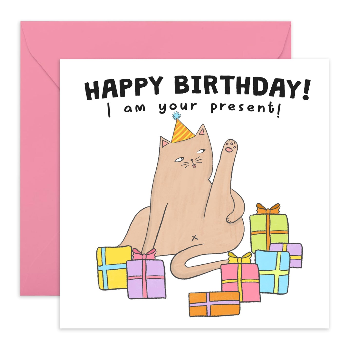Birthday Card Him Her - Birthday I Am Your Present Cat - Funny Greeting Card Men Women - Birthday Gifts For Cat Lovers - Birthday Card For Friends Pet Owners - Comes With Fun Stickers By Central 23
