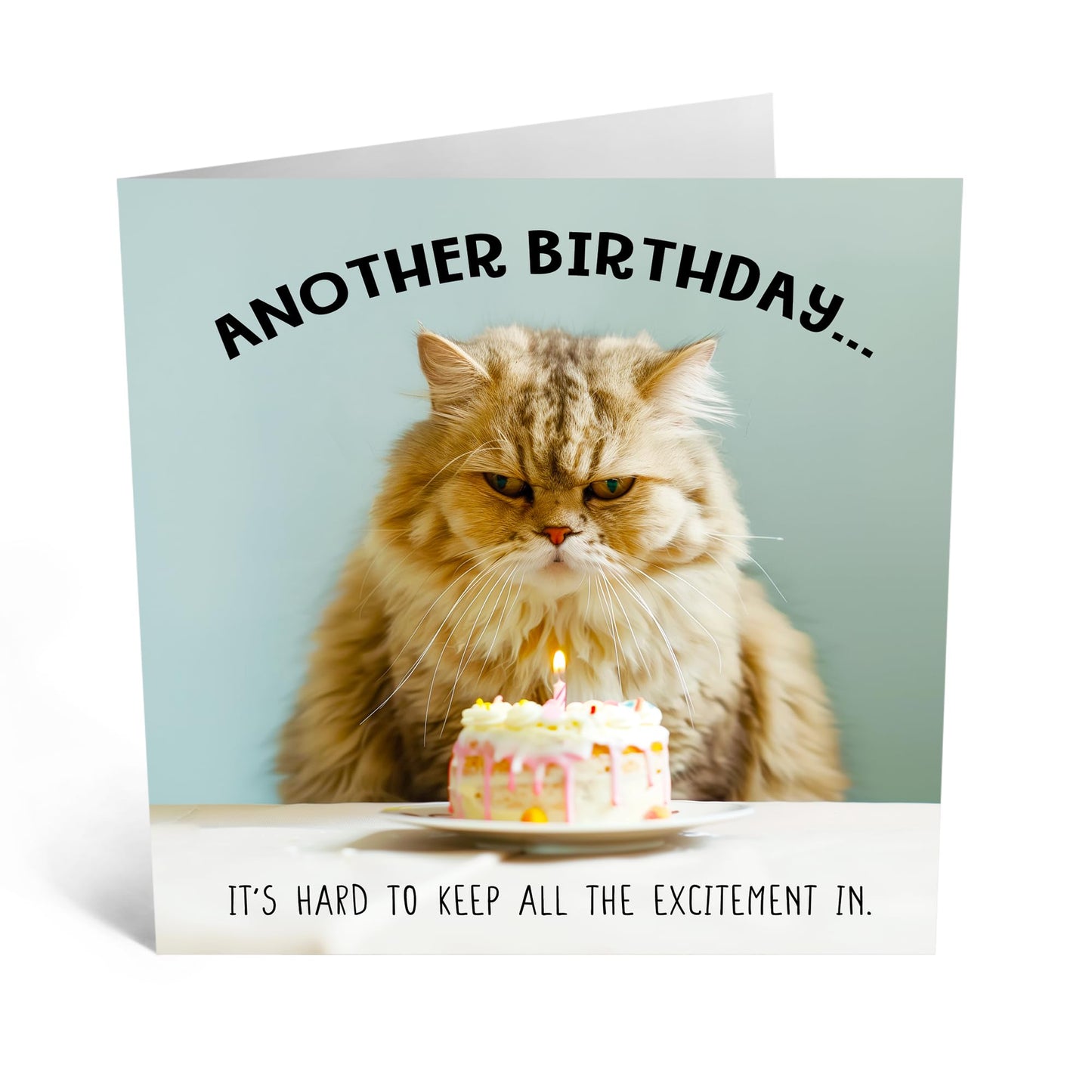 Greeting Card - 'BIRTHDAY UNEXCITED CAT' - Perfect for Celebrating with a Humorous Twist and Cat Design - Ideal for Adding a Touch of Laughter to Any Birthday - Comes With Stickers By Central 23