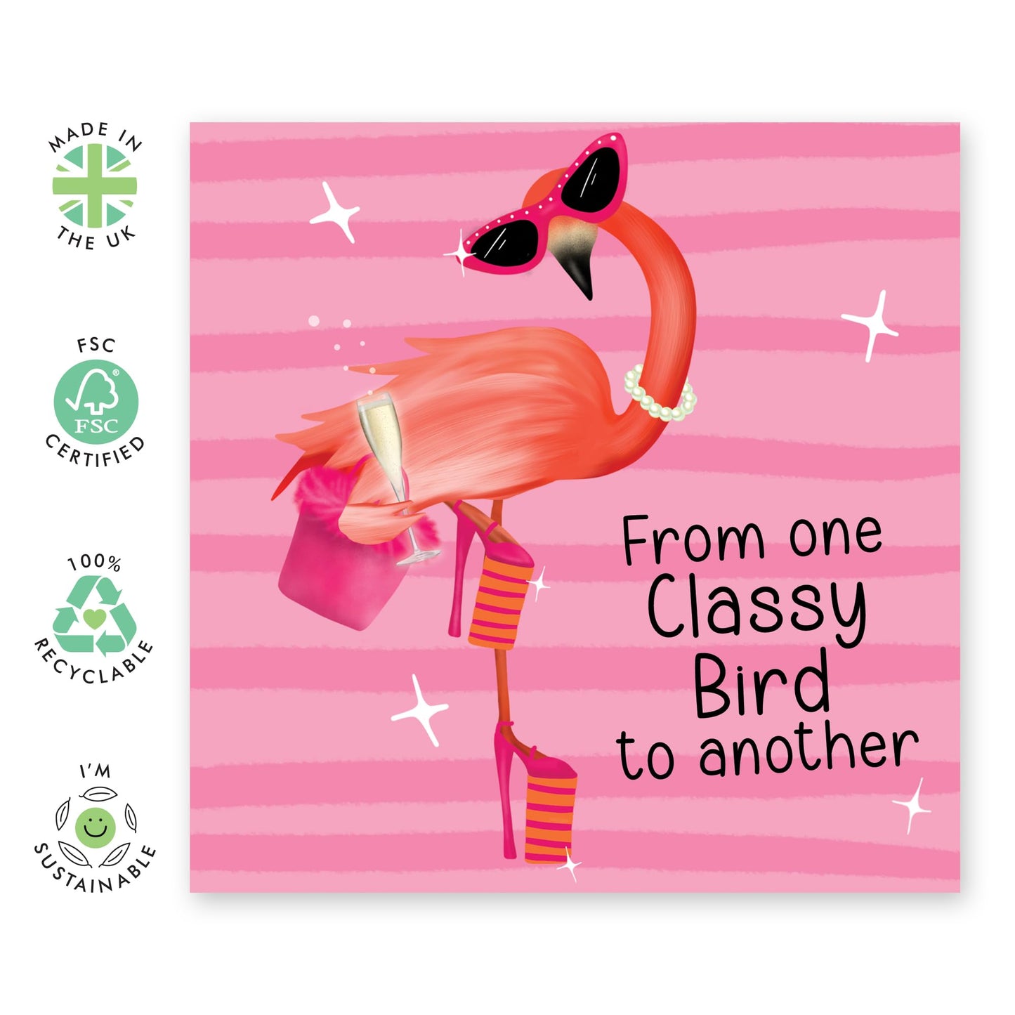Fun Birthday Cards For Her - From One Classy Bird To Another - Cheeky Mothers Day Card For Her - Sister Birthday Card - Best Friend Birthday Card - Comes With Stickers